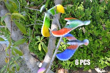 C & amp؛ H Solutions 6 Pcs Balancing Bird of CNH Toy 6.5 Inch Wing Span-Colors May Vary