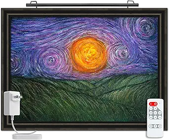 Plug-in Vision Series Remote Controlled LED Art and Picture Light - USA Made - 2700K