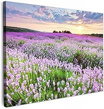 MuchoWow© Impression sur Toile Photo Peinture 40x30 cm Tableau Decoration Murale Chambre Salon Maison Deco Cuisine Fleurs - Lavande - Pourpre - Ciel - Coucher de soleil - Prairie - Nature