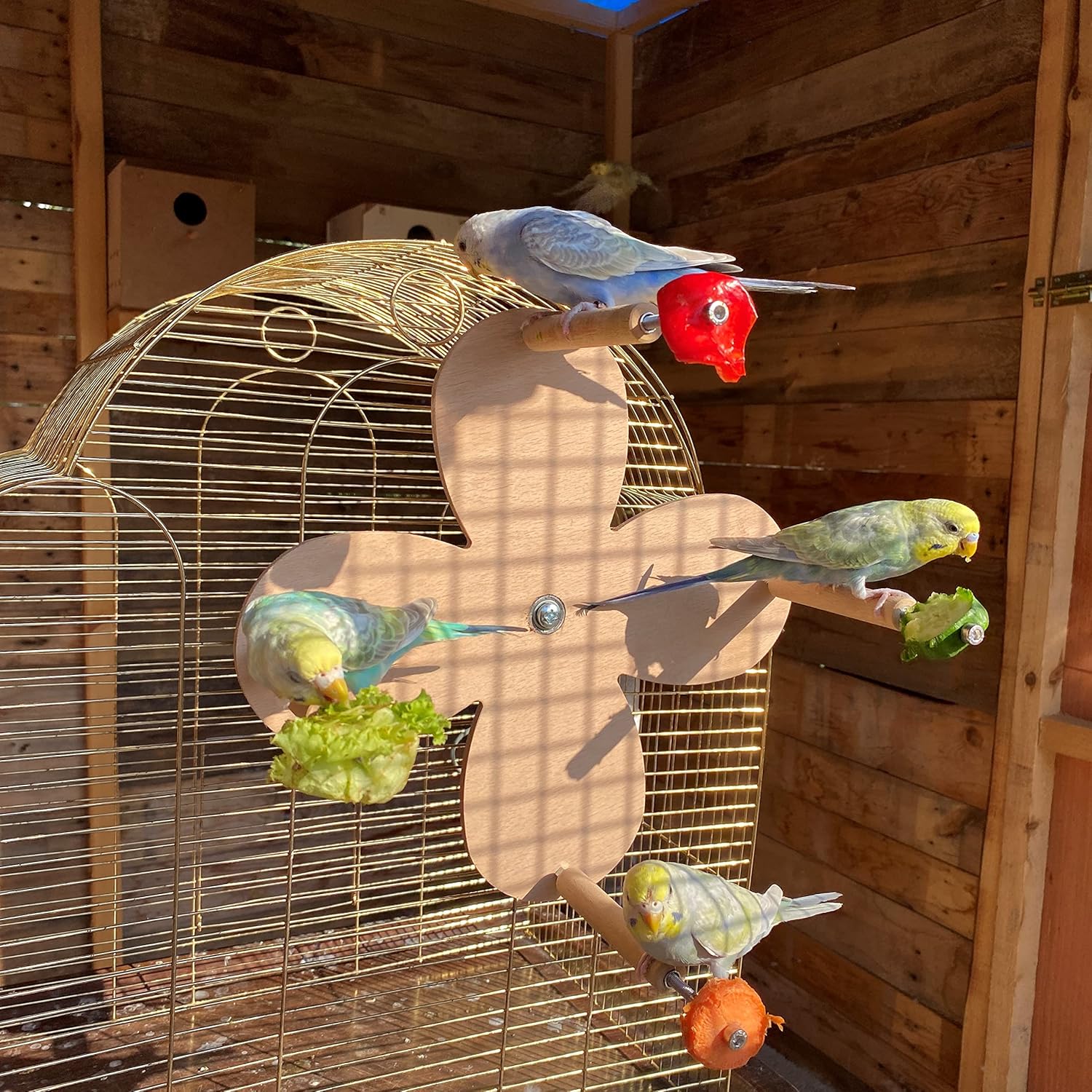 Flower Ferris Wheel Toy for Birds with Feeder Perches