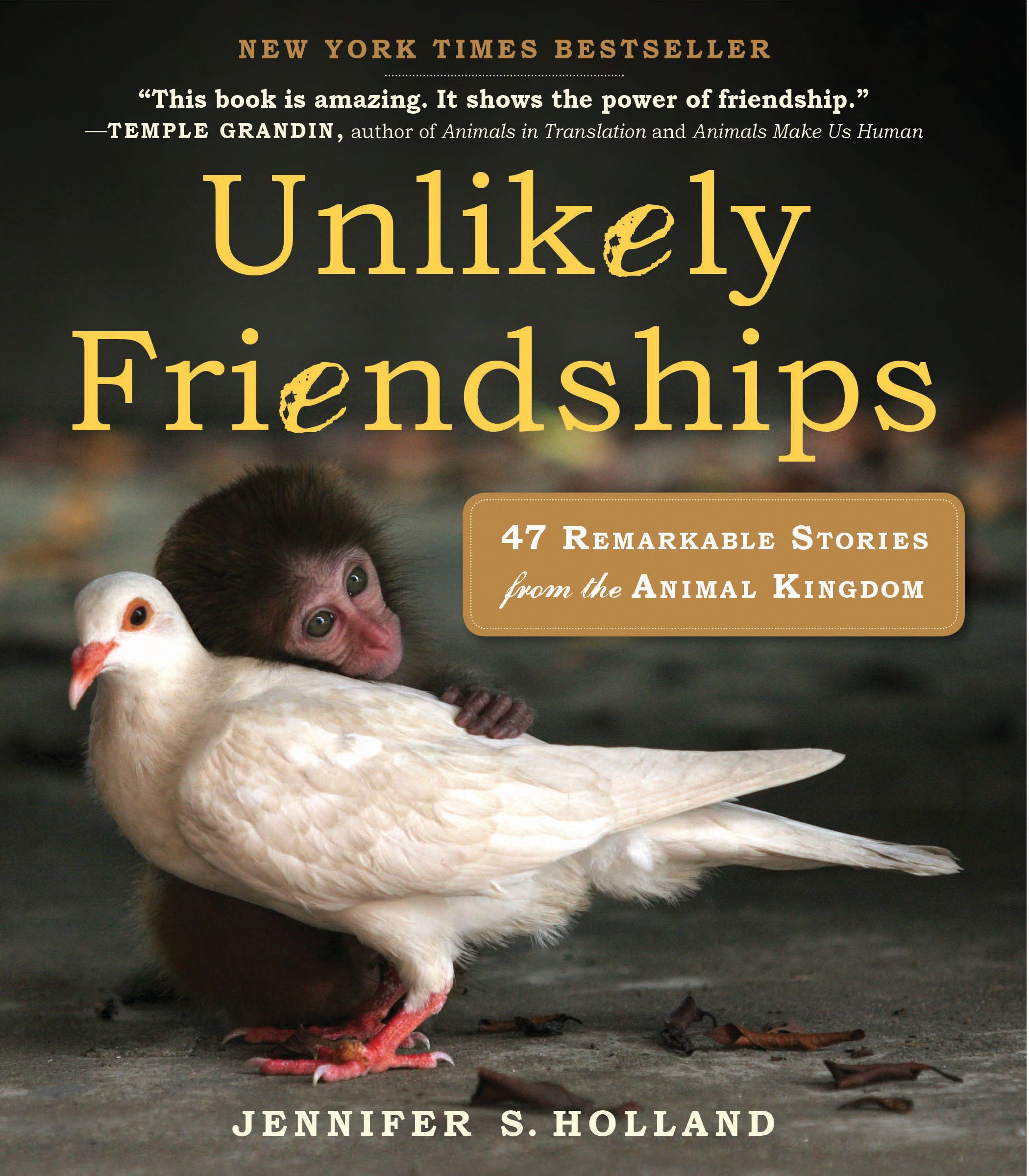 Unlikely Friendships by Jennifer S. Holland PAPERBACK 9780761159131