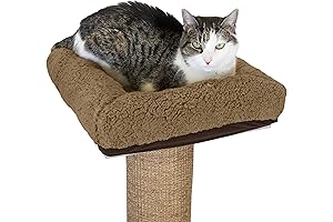 The Perch Pad: Kitty City's Scratcher Haven