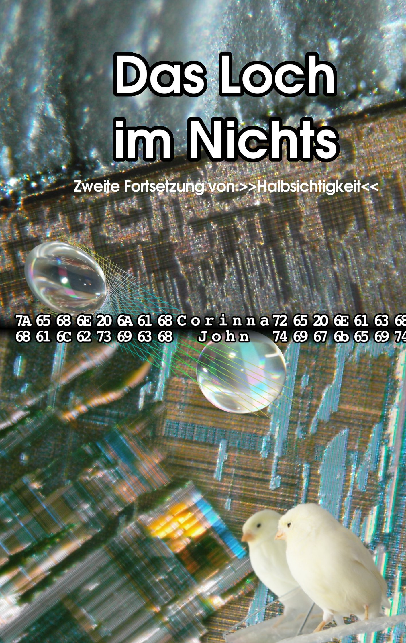 Das Loch im Nichts: Zweite Fortsetzung von "Halbsichtigkeit"