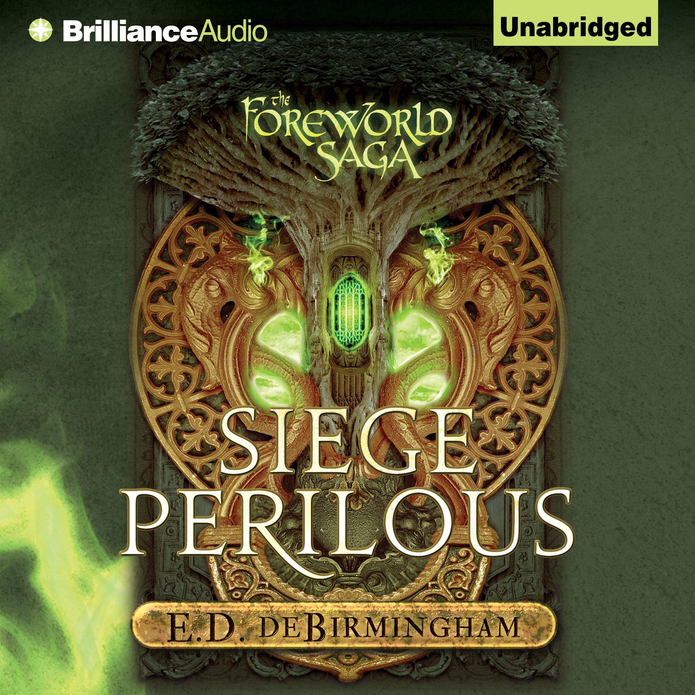 Cover art for Siege Perilous