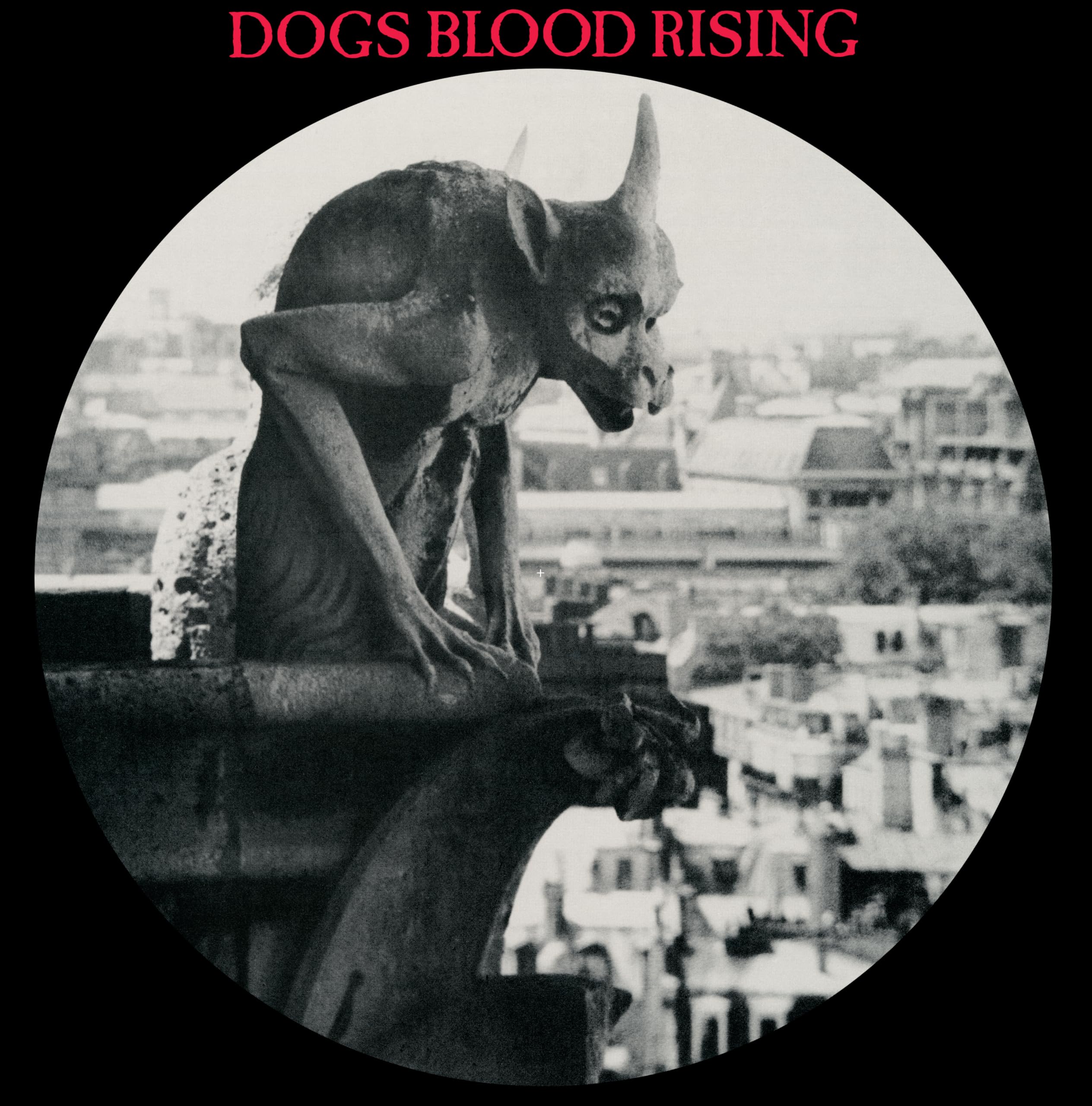 Amazon.com: Dogs Blood Rising: CDs & Vinyl