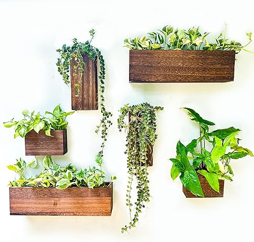 Miniatura 14 de LaLaGreen - Maceta de madera para plantas (paquete de 4) macetas de madera colgantes de pared para plantas de interior, jarrón para flores secas,
