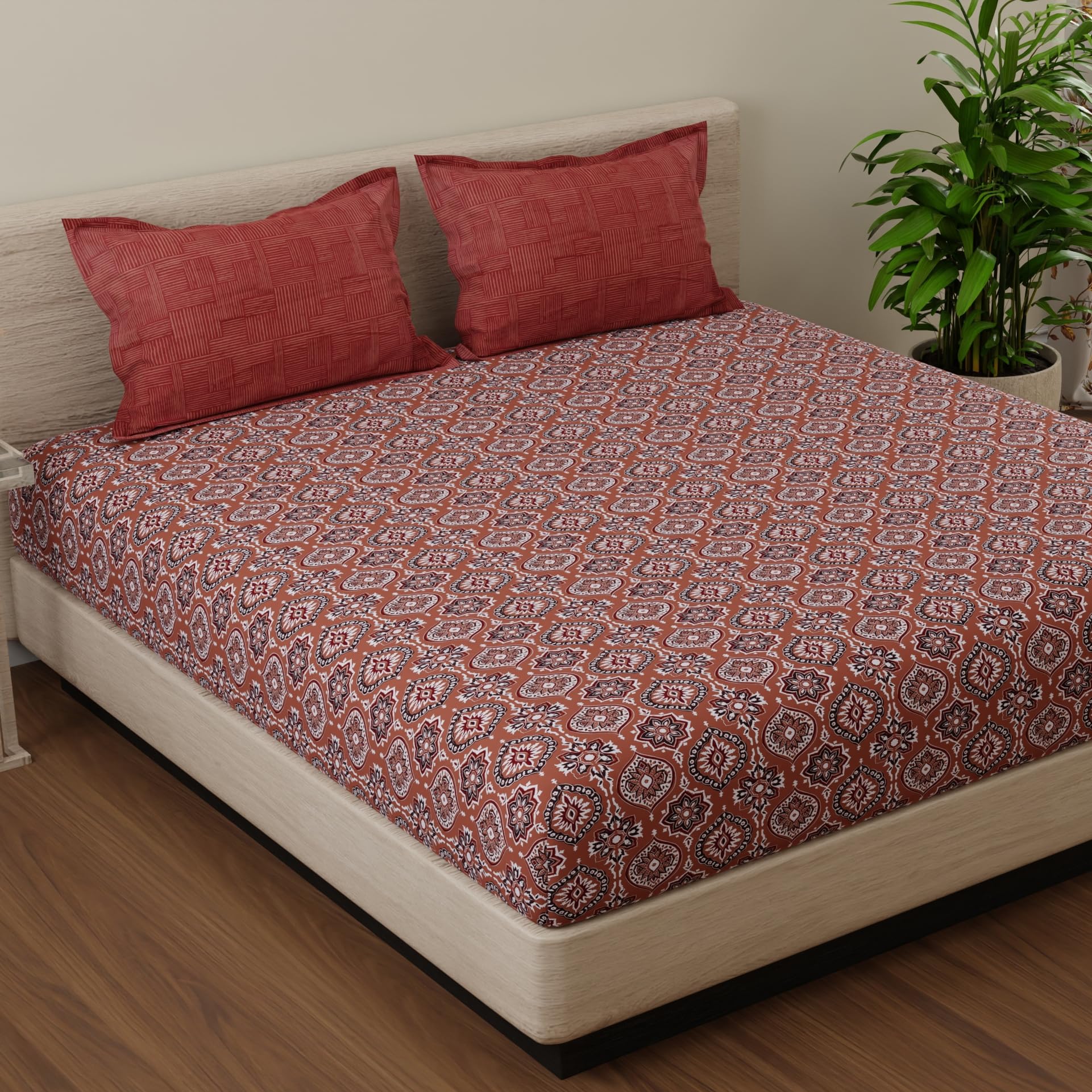Huesland Cotton Fitted Bedsheet - Double Bed -2
