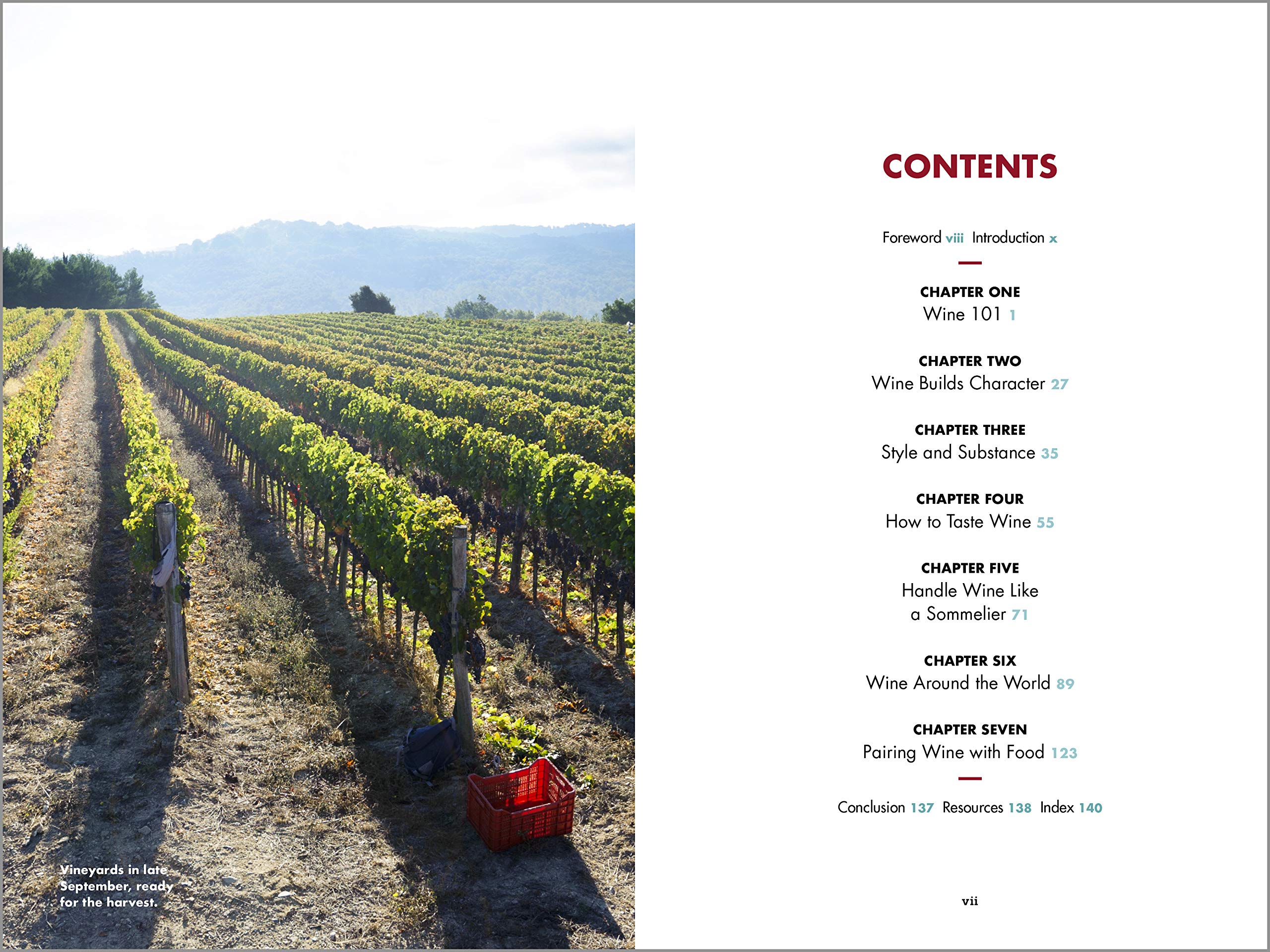 Wine: A Beginner's Guide