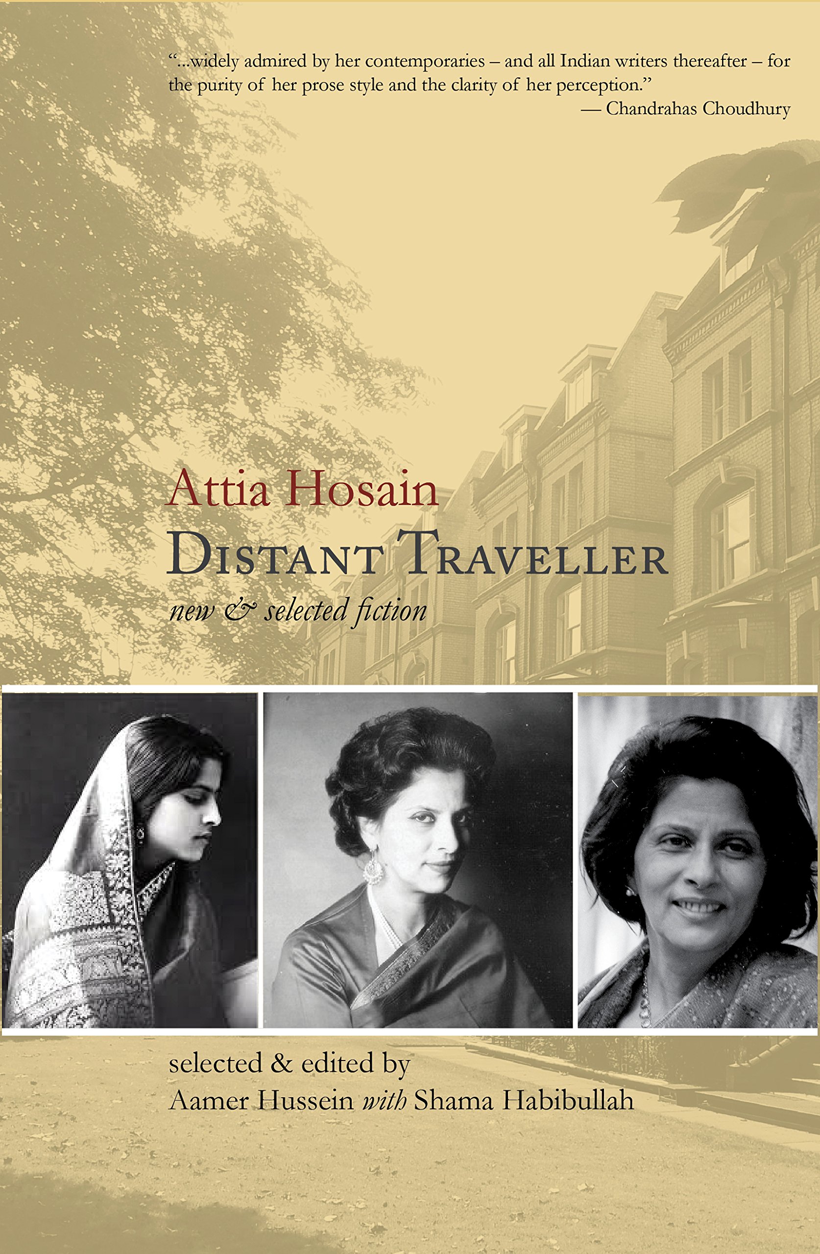 Distant Traveller: New and Selected Fiction