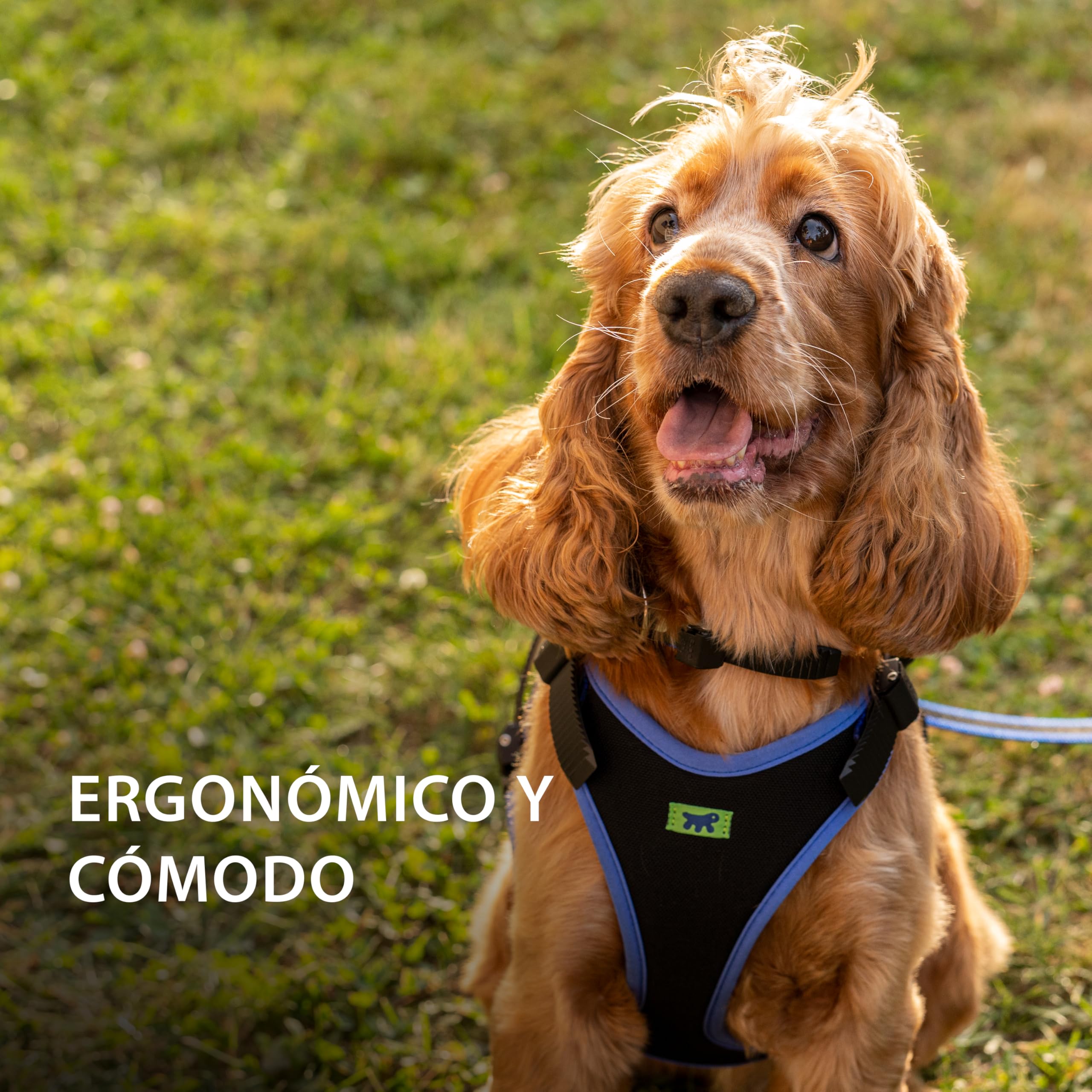 Ferplast Arnés para Perros medianos ERGOCOMFORT, Ajustable, cómodo, Acolchado, de fácil colocación y extracción, Talla M, máximo 30 kg. Azul.