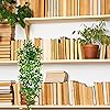 Product Photo 7