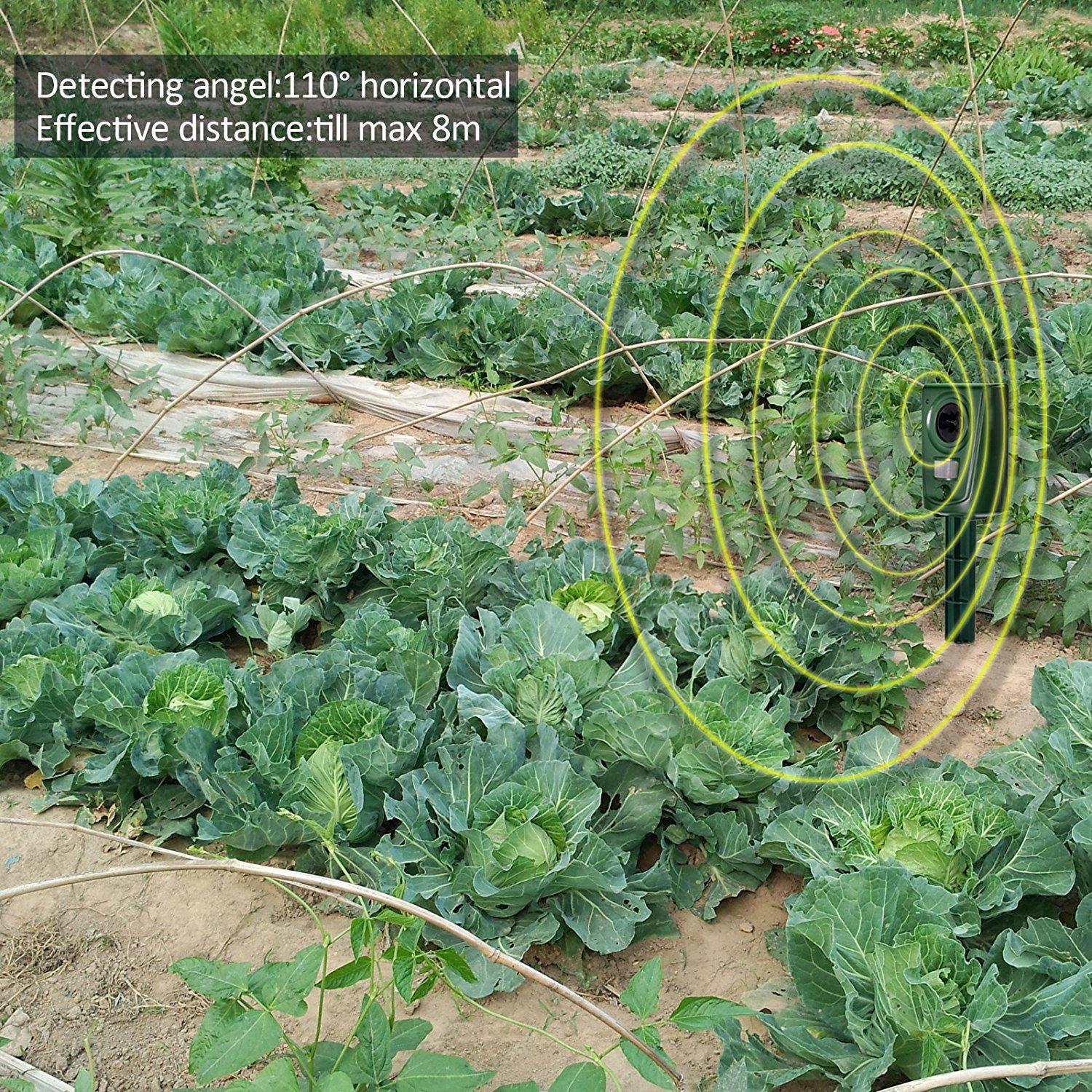 2X Repellente Ultrasuoni per Gatti,Dissuasore per Gatti Ultrasuo, Respinge Gatti, Uccelli e Altri Animali per Il Giardino