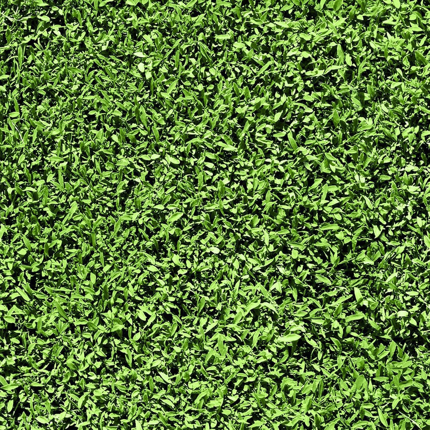 FunStick 44.5CM×9M Papel Pintado Verde Hojas de Hierba Vinilo Adhesivo Muebles Dormitorio Impermeable Papel Adhesivo Pared Verde Vinilos de Pared Decorativos Dormitorio Salon Hojas de Hierba Bricolaje