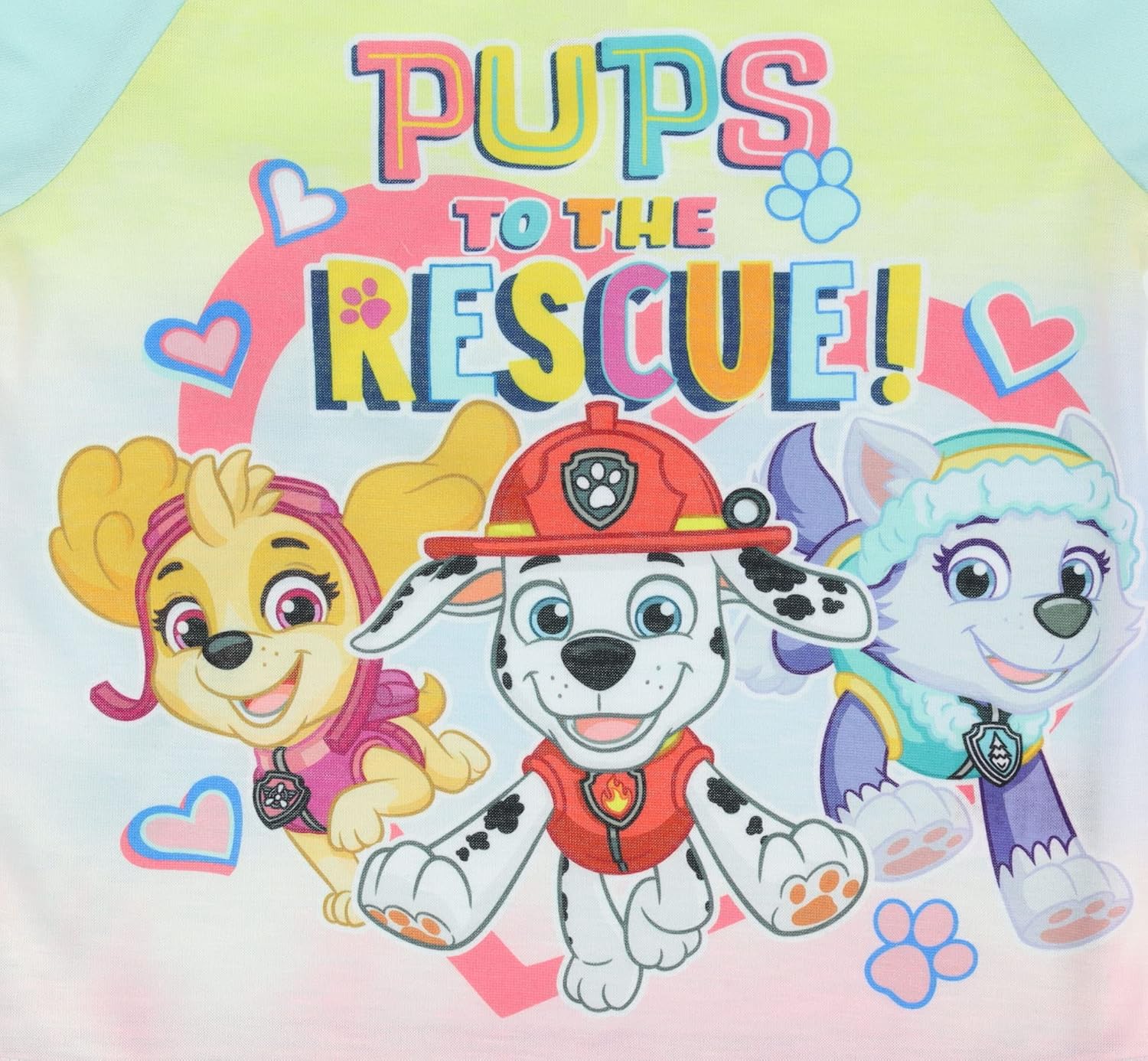 Paw Patrol Girl's 2 Piece PJ Set, Skye Everest Pajama Set, 100% Polyester,Toddler Girl's Size 2T to 5T - Image 3
