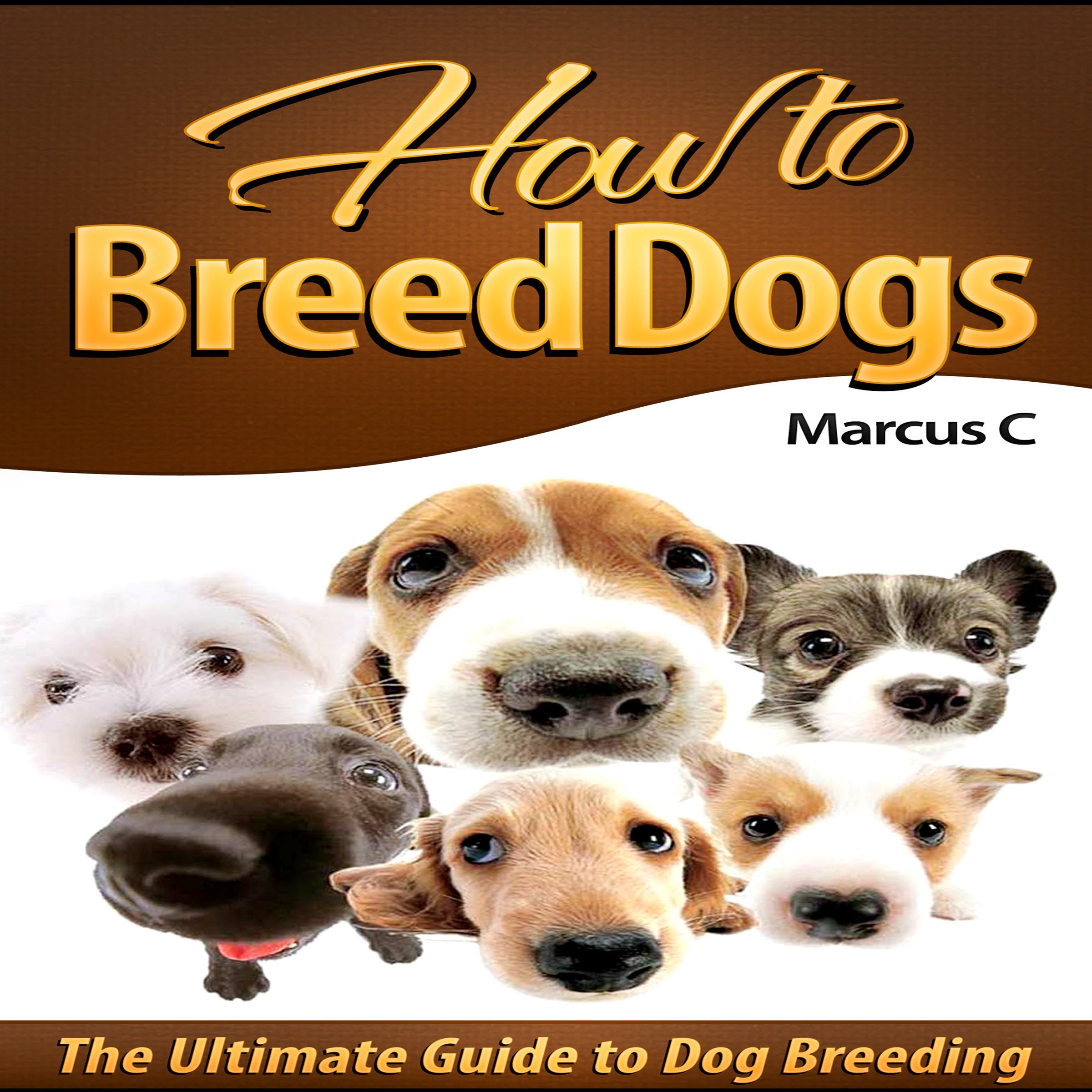 Cover art for How to Breed Dogs