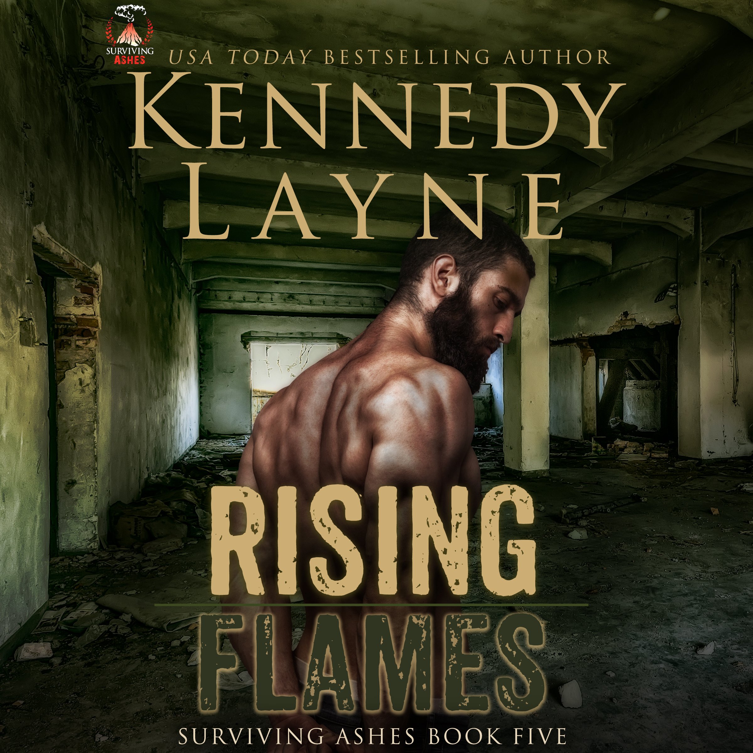 Cover art for Rising Flames