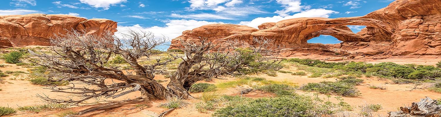 Reptile Habitat Background; Double Arch with Tree, for 48Lx18Wx24H Terrarium, 3-Sided Wraparound