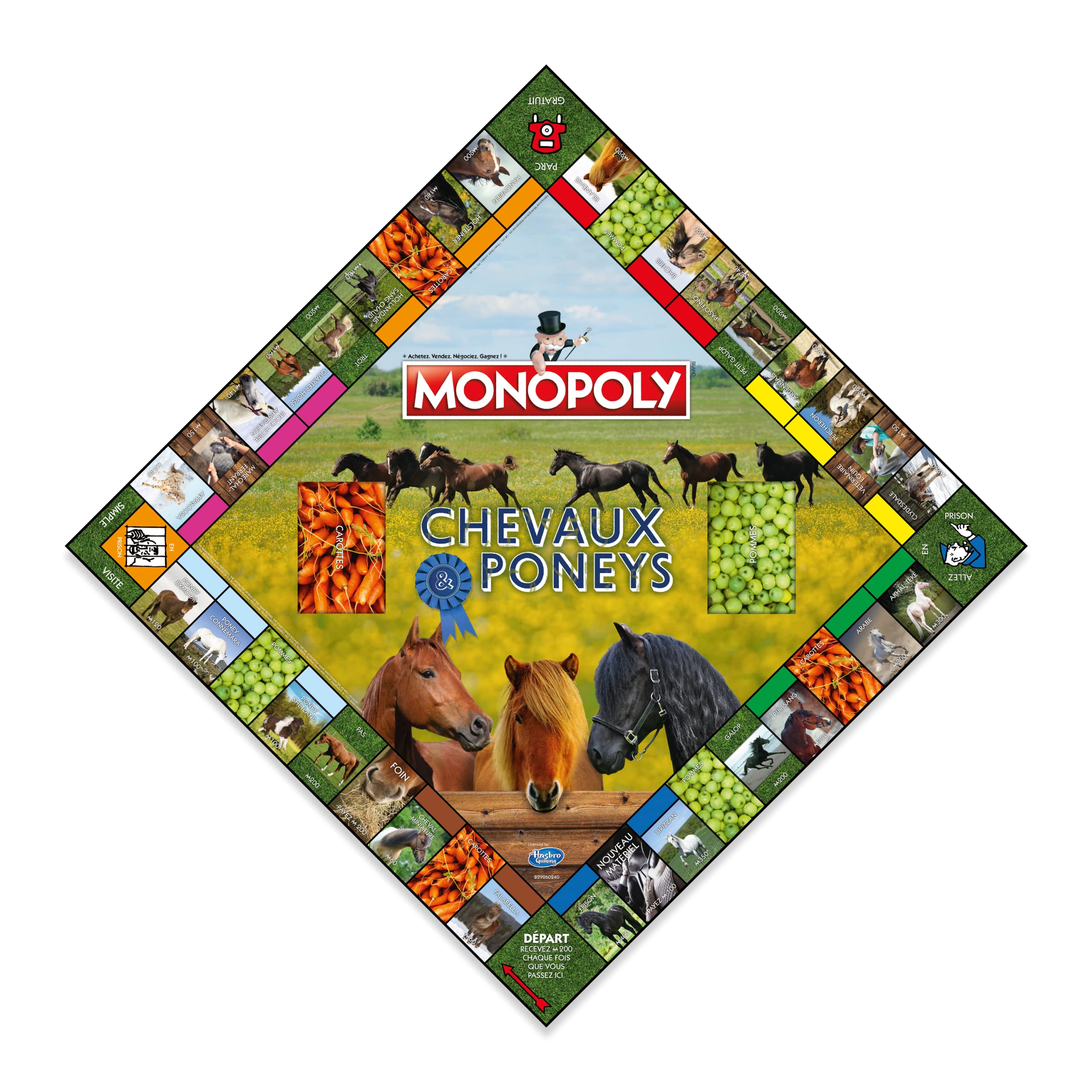 Winning Moves Monopoly Chevaux et Poneys en français - Jeu De Plateau 8+ - Jeu de Société pour 2 à 6 Joueurs - Jeux de Société Famille en français
