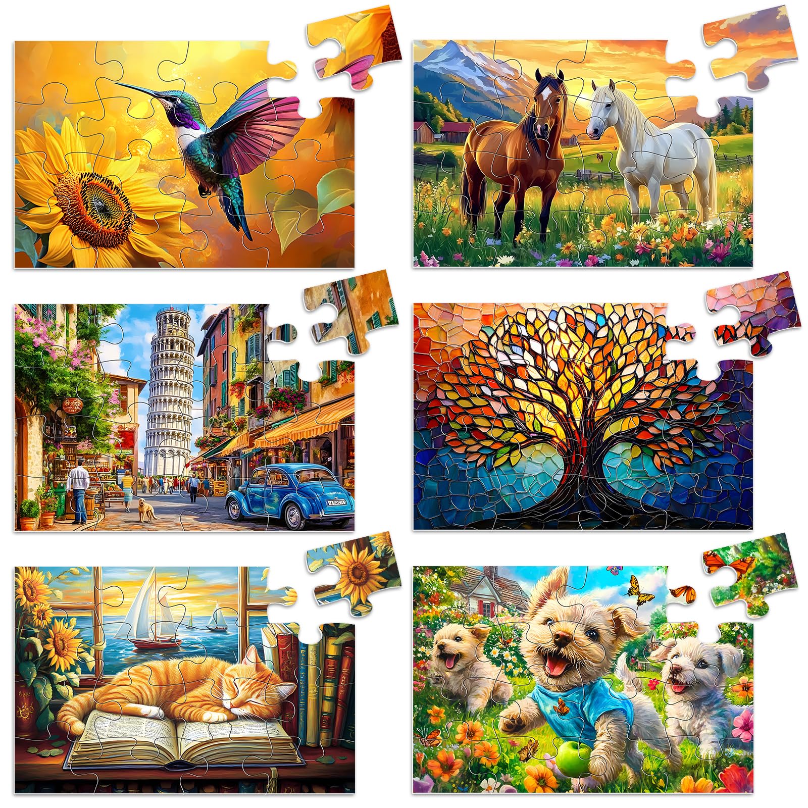 Biarek 6 Packs 16 Large Piece Puzzle for Seniors, Alzheimer's & Dementia Activities, Easy Puzzle, 6 Storage Bags