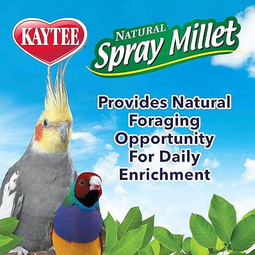 Miniatura 5 de Kaytee Spray Millet Treat for Pet Birds