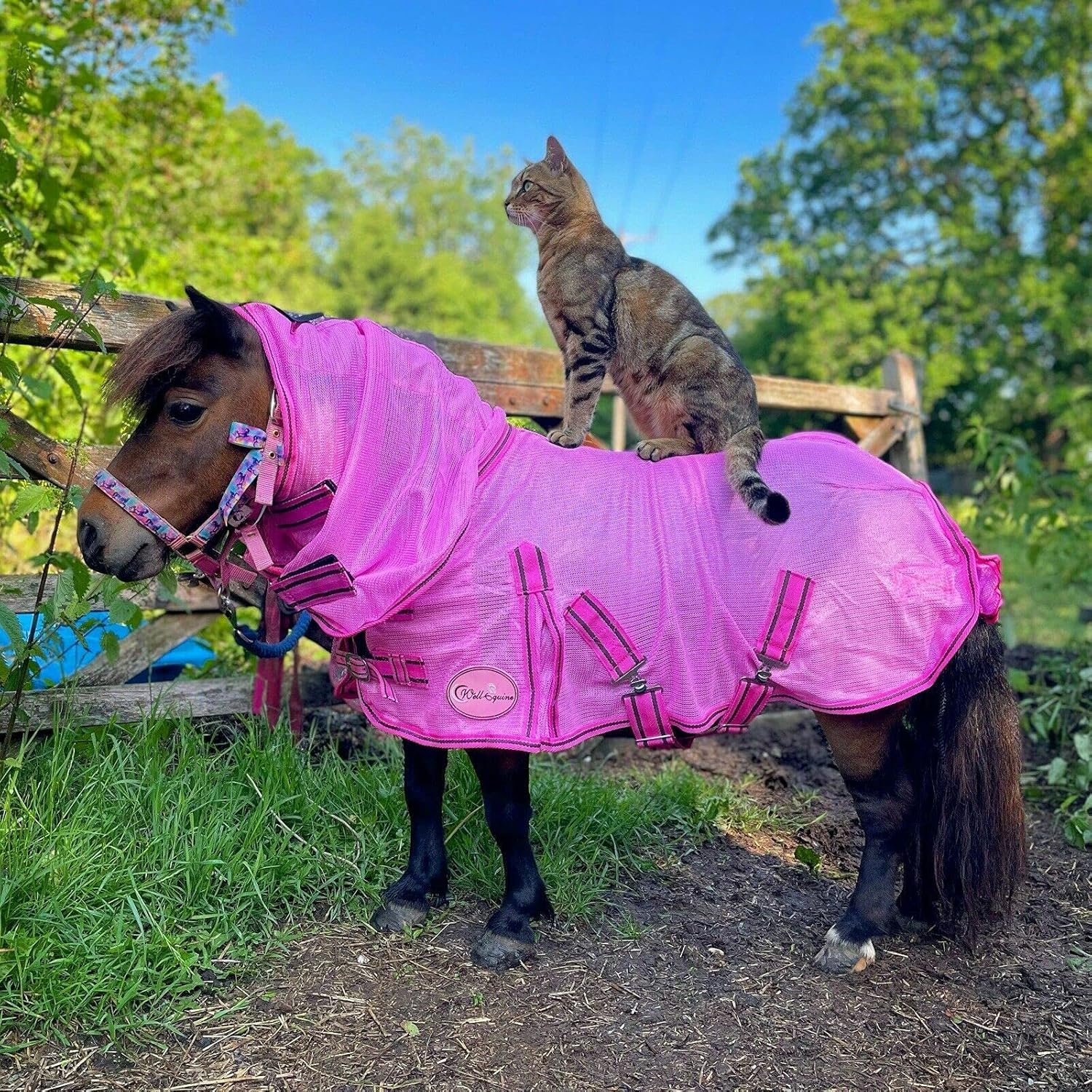 NEW HEAVY MESH AIR FLOW FOAL/MINI/SHETLAND/PONY PINK FLY RUG NECK