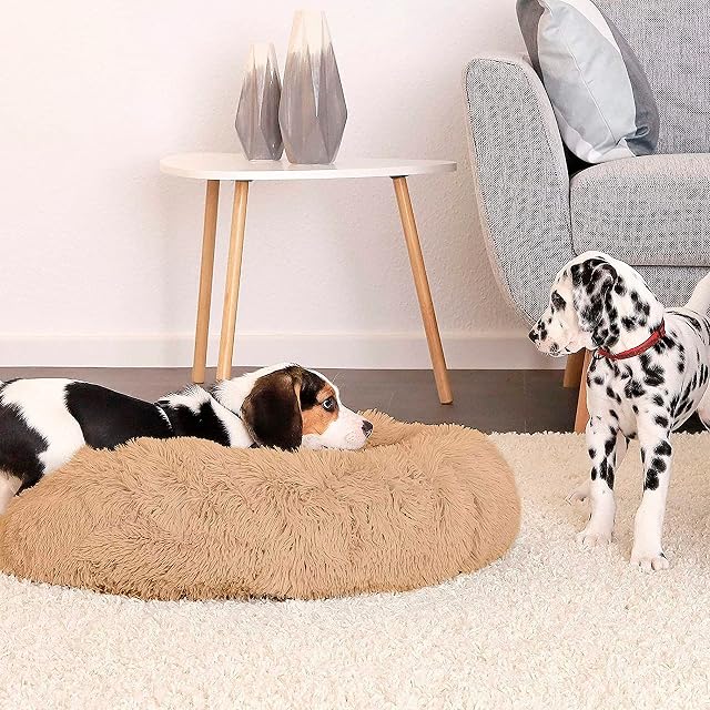 Foto 3 de 8 de Yuma SPAZIO Cama Perro Mediano y Pequeño. Cama para Perros Antimordeduras. Cojin Resistente y Lavable. Cama…