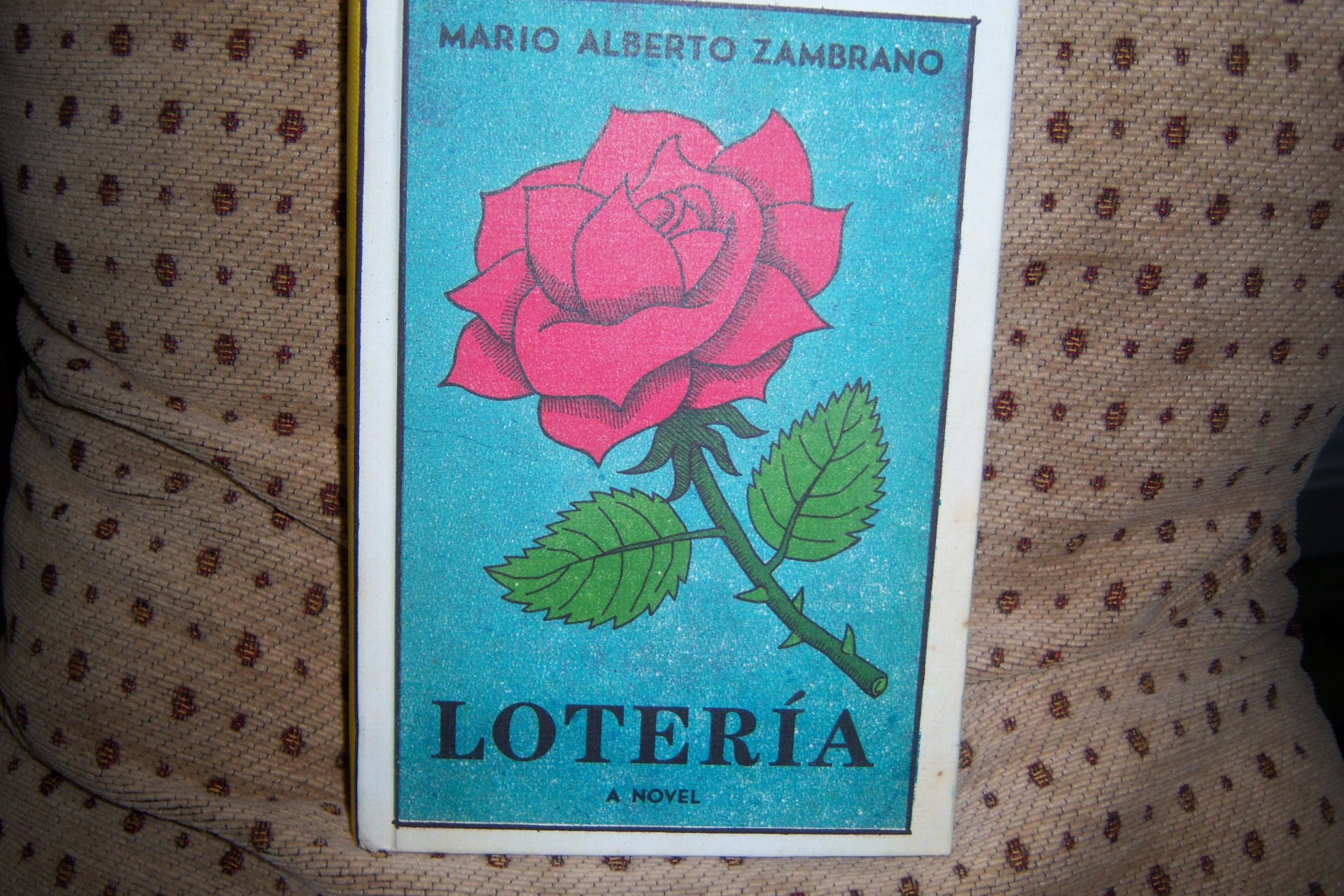 Loteria: A Novel