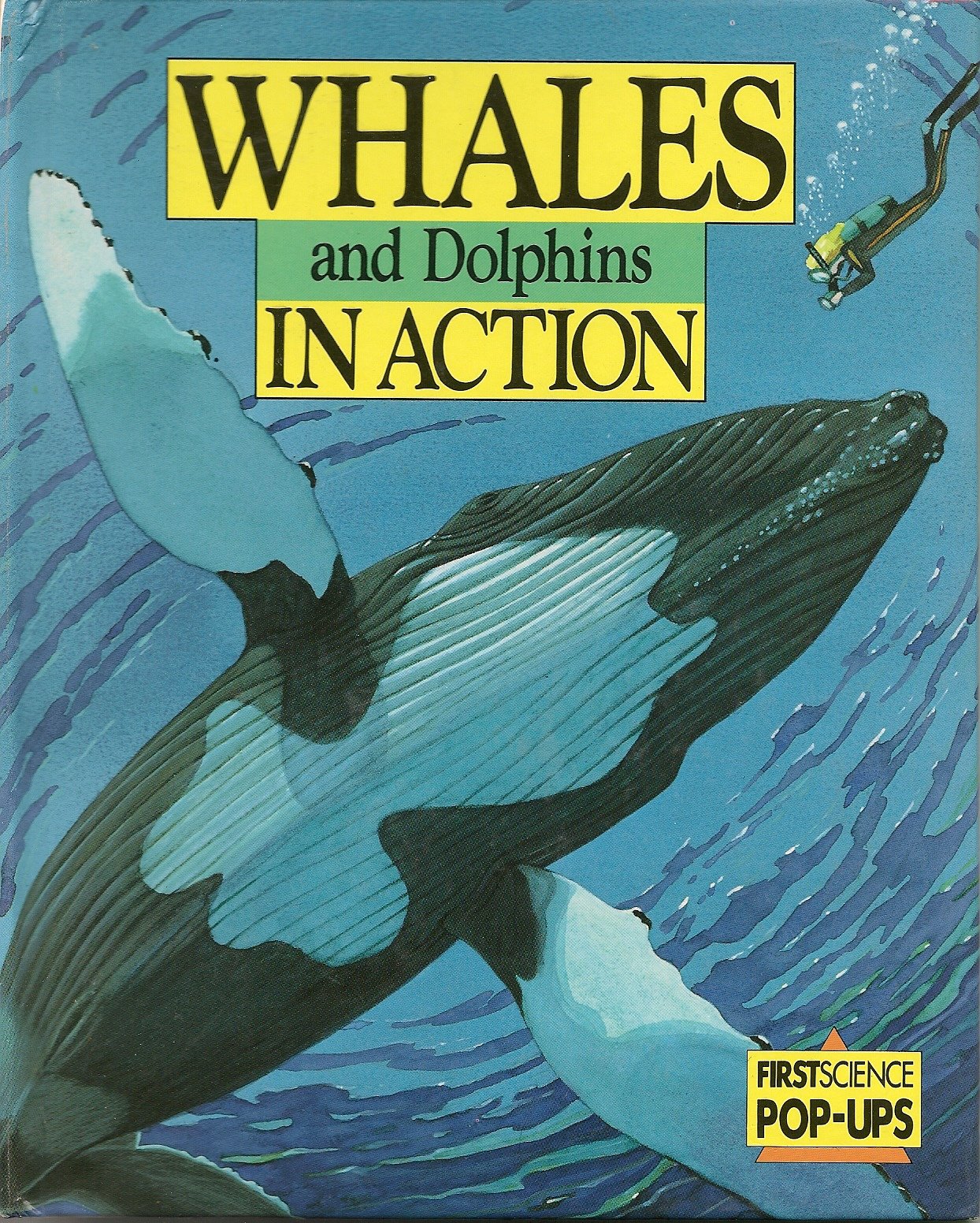 Whales and Dolphins in Action (First Science Pop-up S.)