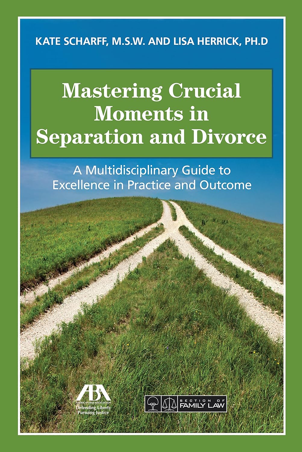 Mastering Crucial Moments in Separation and Divorce: A Multidisciplinary Guide to Excellence in Practice and Outcome      Kindle Edition