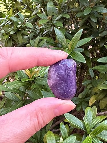 Miniatura 197 de GAF TREASURES Piedras pulidas de ojo de tigre de 1/2 libra, piedra preciosa natural pulida, cristales curativos de ojo de tigre (ojo de tigre)