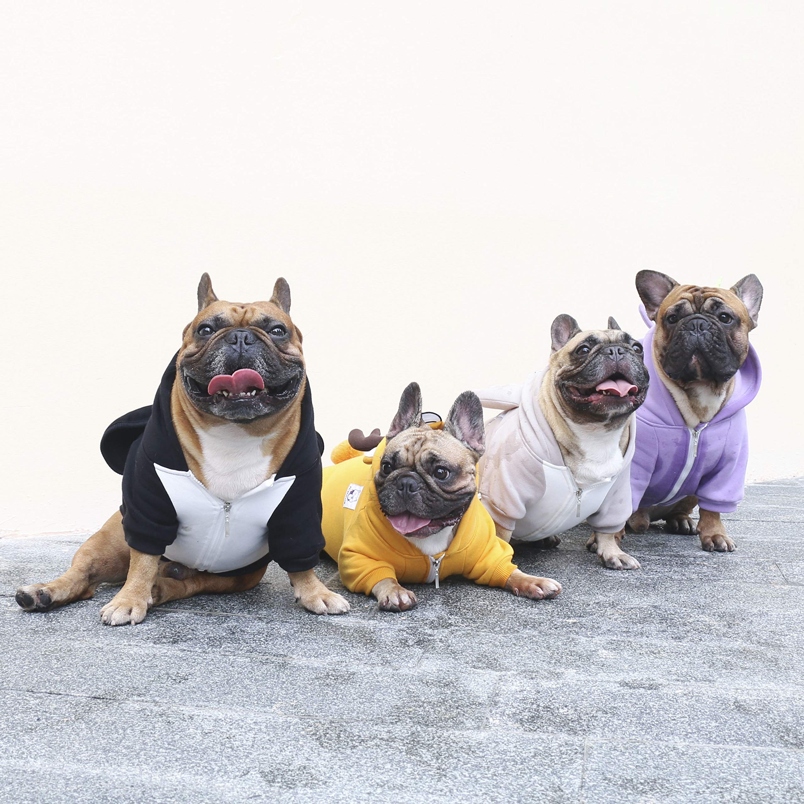 iChoue Unicorn Dog Halloween Costumes Clothes Sweater Cute Funny for French Bulldog Cold Weather Winter Coats Hoodies Frenchie English Pug Pitbull Corgi Puppy - Image 4