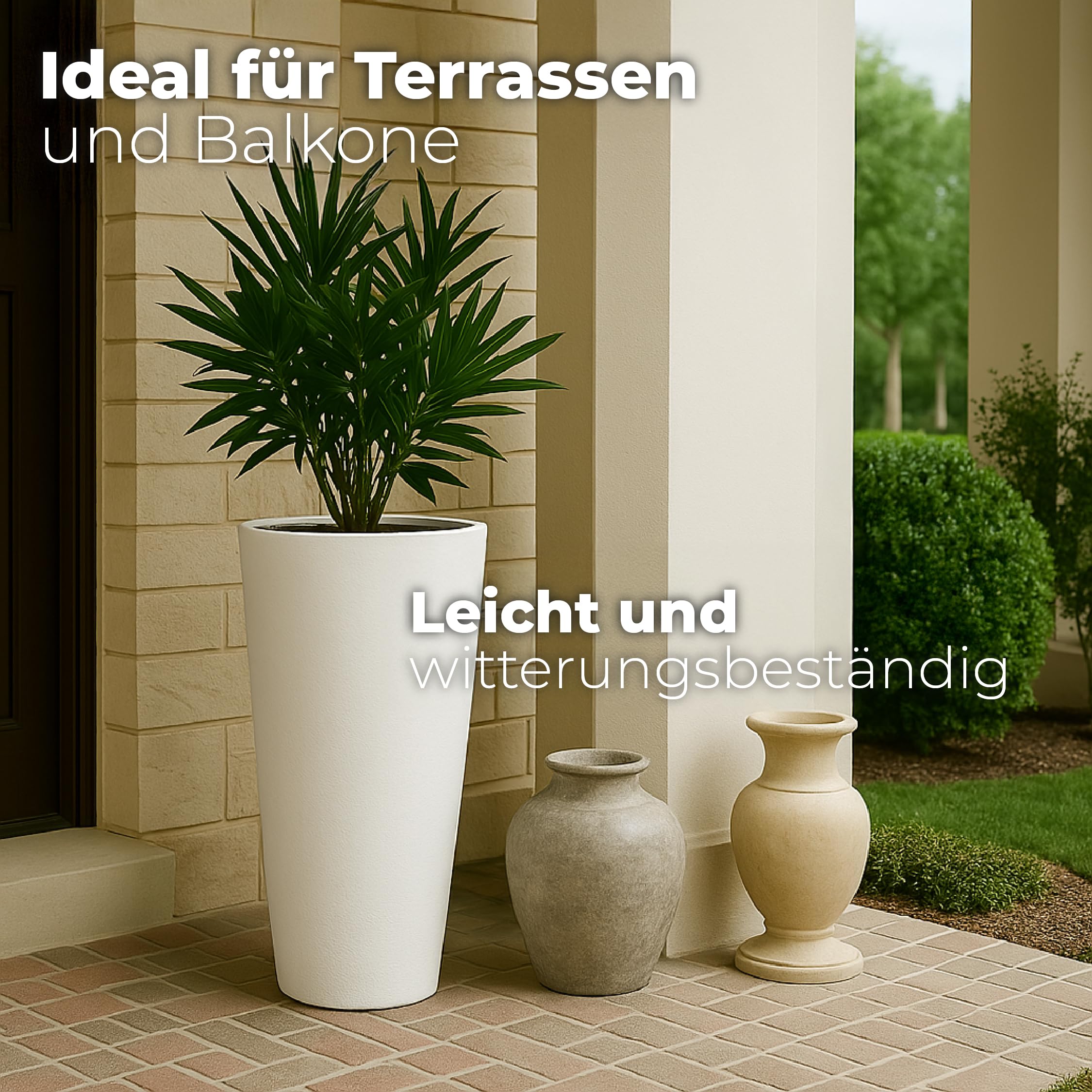chili saatgut gewinnen BIO Chilisamen Set (5 Sorten) main image 0