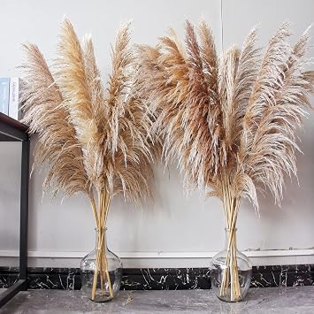 Natural Pampas Grass Decor Tall, Pompas Grass, Tall Pampas Grass for Weddingm, Farmhouse, Boho Home Decor Brown