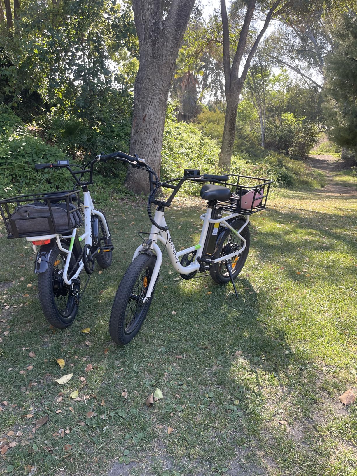isinwheel U7 Electric Bike for Adults, 20 mph Cargo Ebike 1000W Peak Adult Electric Bicycles, 55 Miles Range E Bike, 48V 10.4Ah Removable Battery, 7 Speed Gearshift, 20" Step Thru Ebikes for Adults photo review