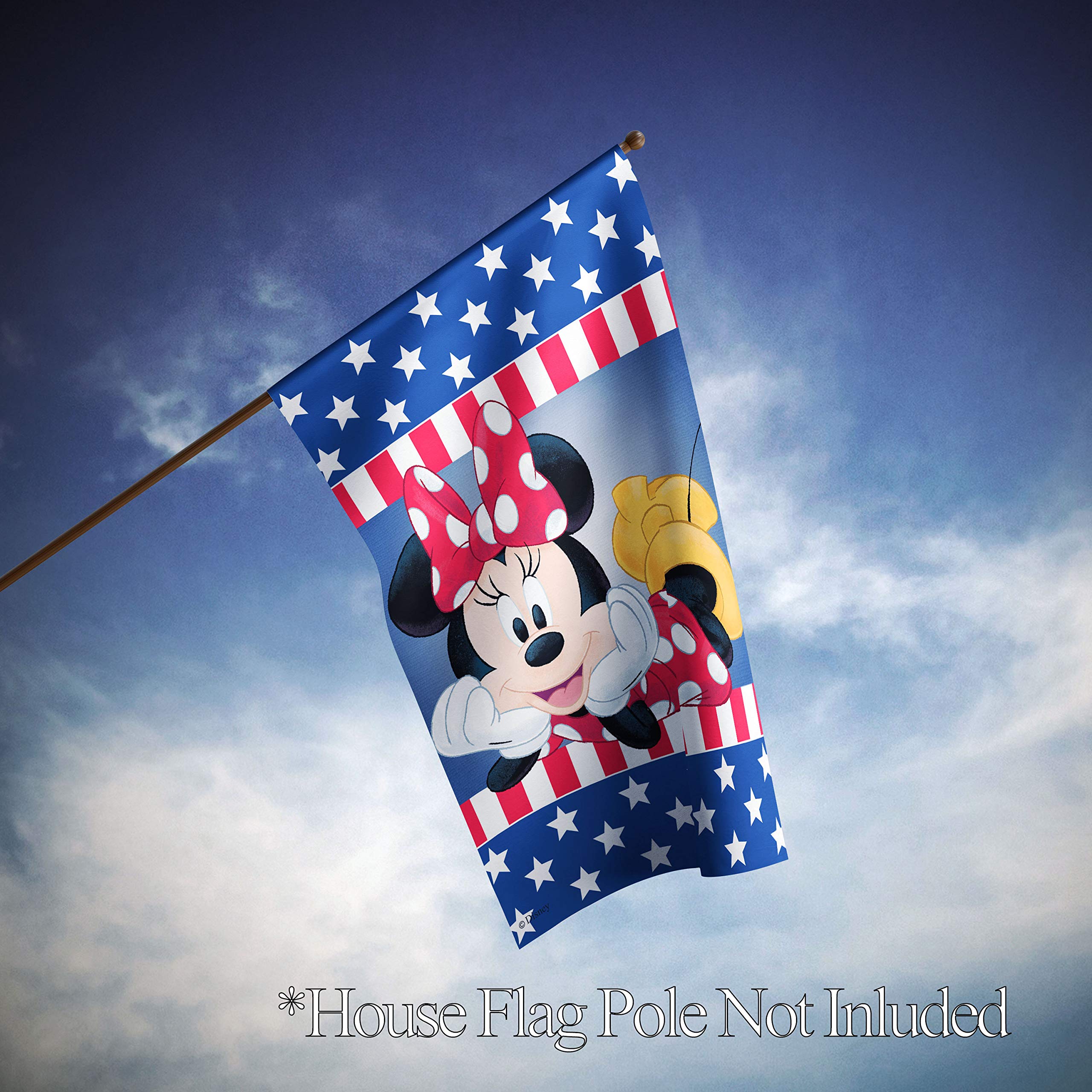 Amazon.com : Flagology.com, Disney, Minnie Mouse, Patriotic Minnie