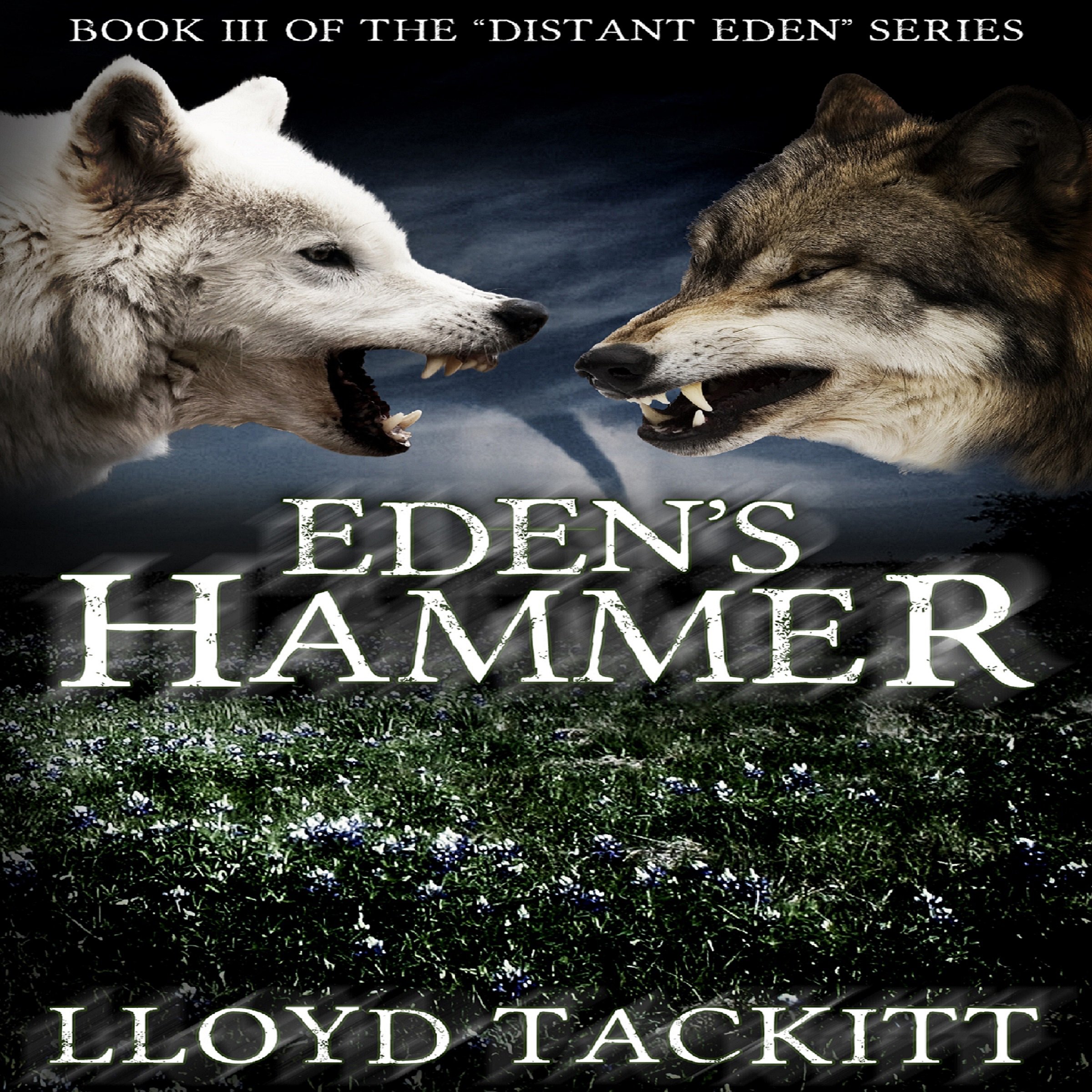 Cover art for Eden's Hammer