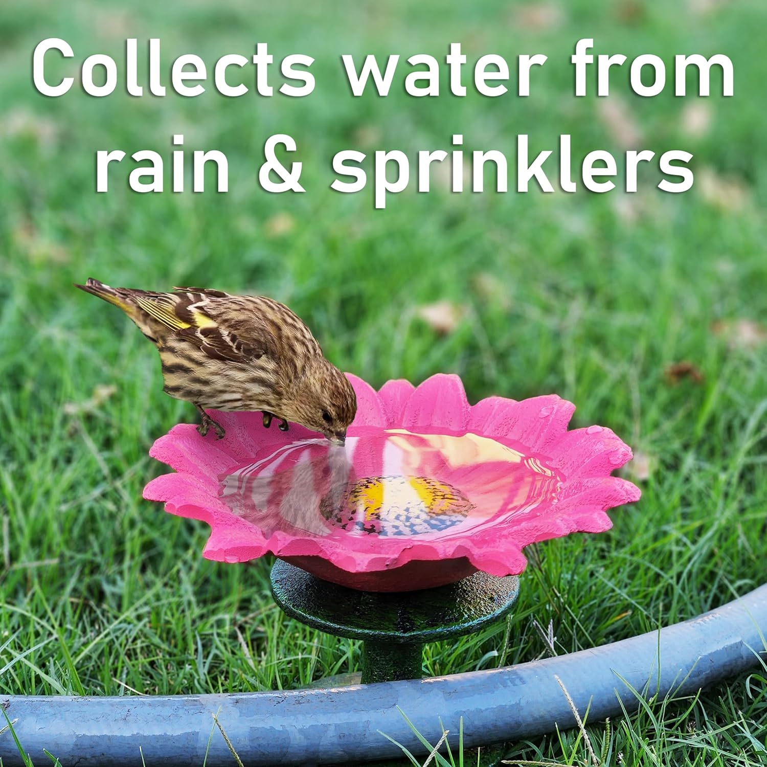 Lulu Decor, 100% Cast Iron Pink, White & Yellow Daisy Hose Guide (Set of 3) with Birds Water Feeder, Garden Hose Guide Spike, Rust Free Guide & Helps with Plant Protection