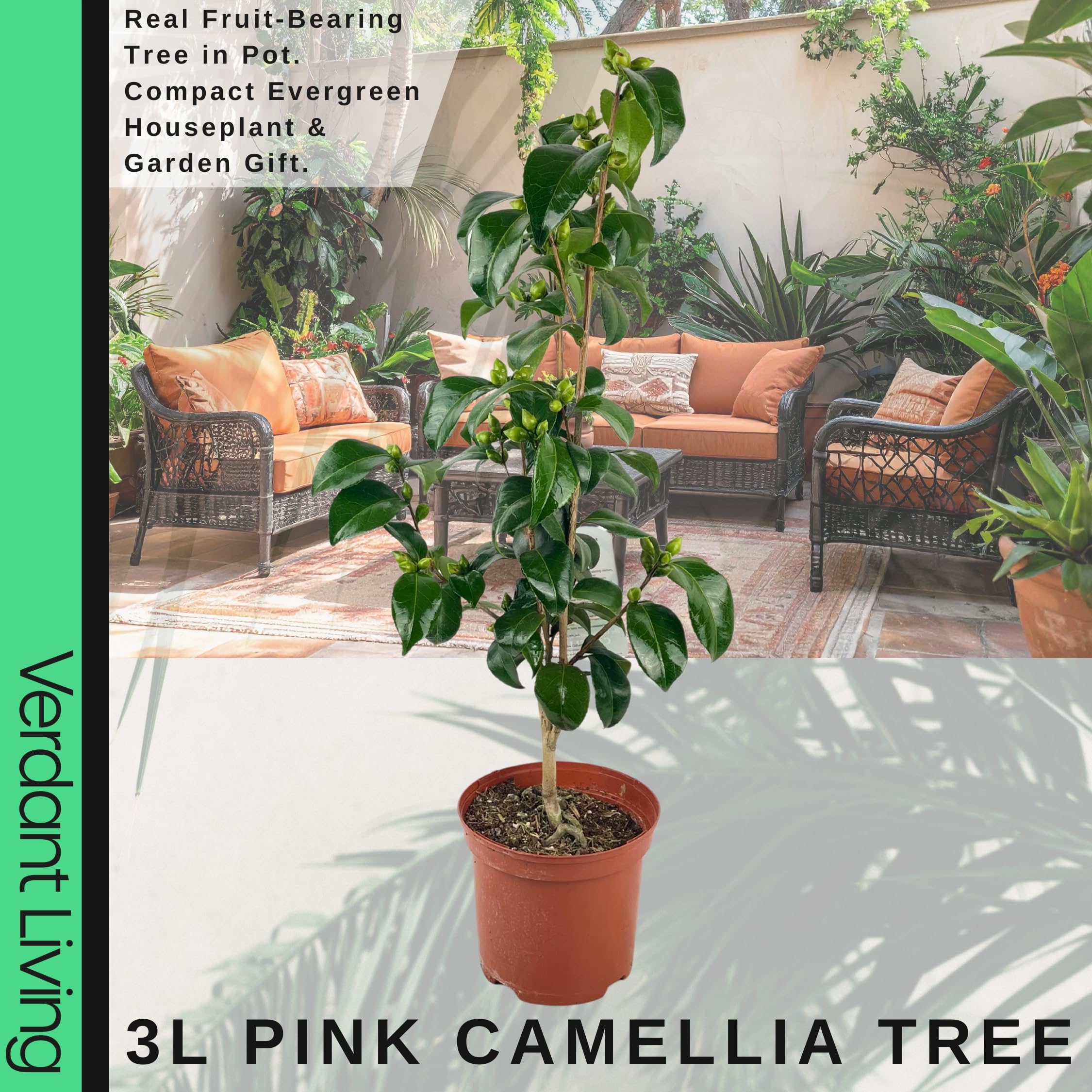 View 2