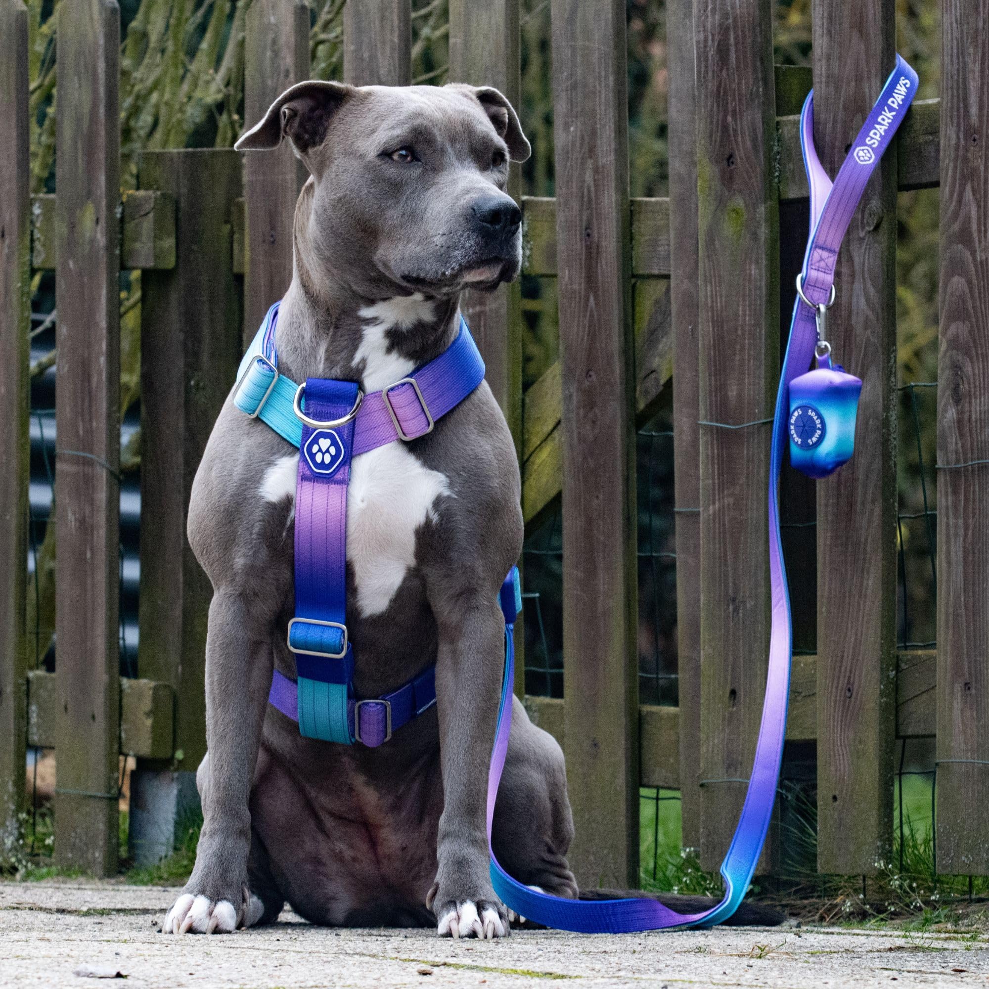 Amazon | Spark Paws No Pull Dog Harness - 安全性と