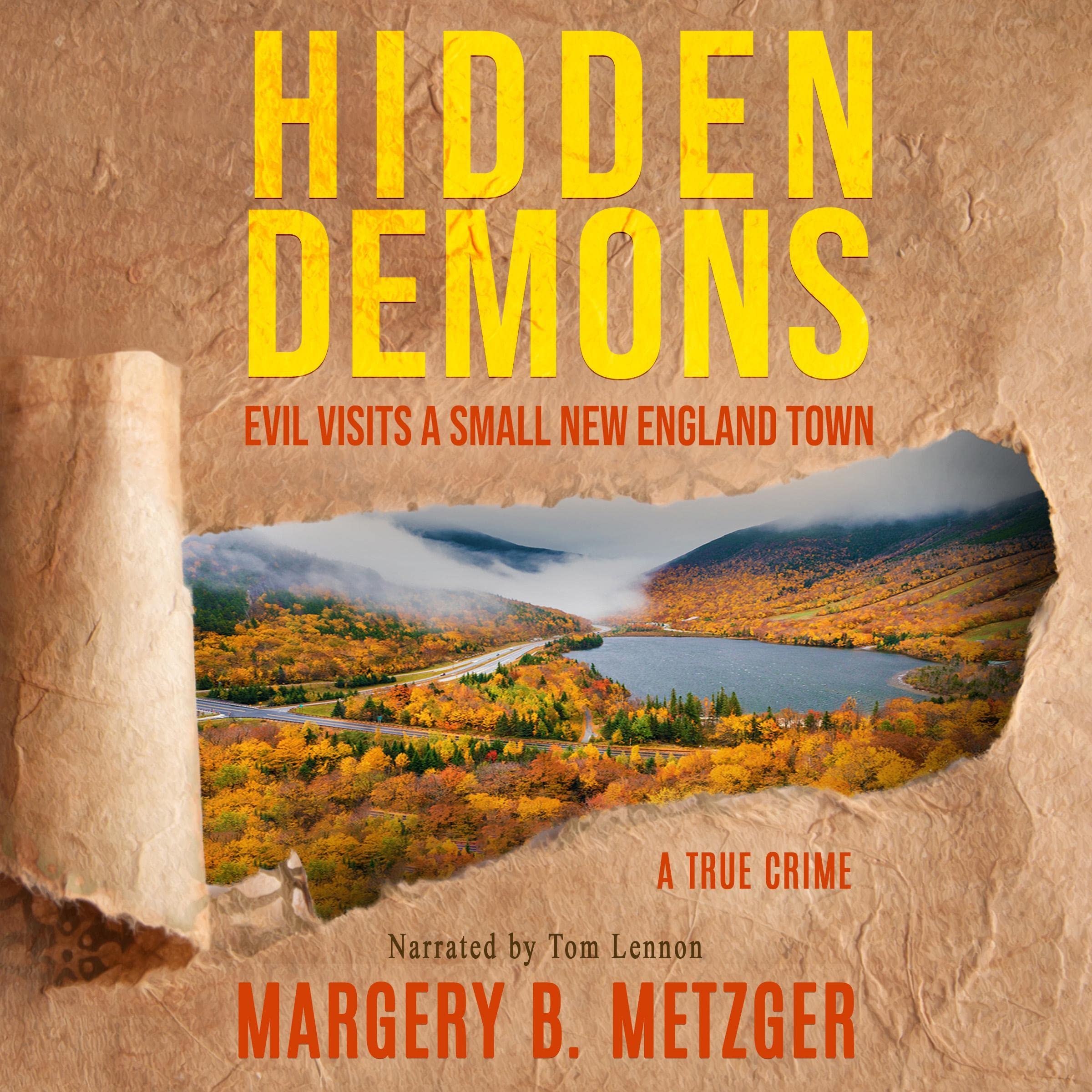 Cover art for Hidden Demons