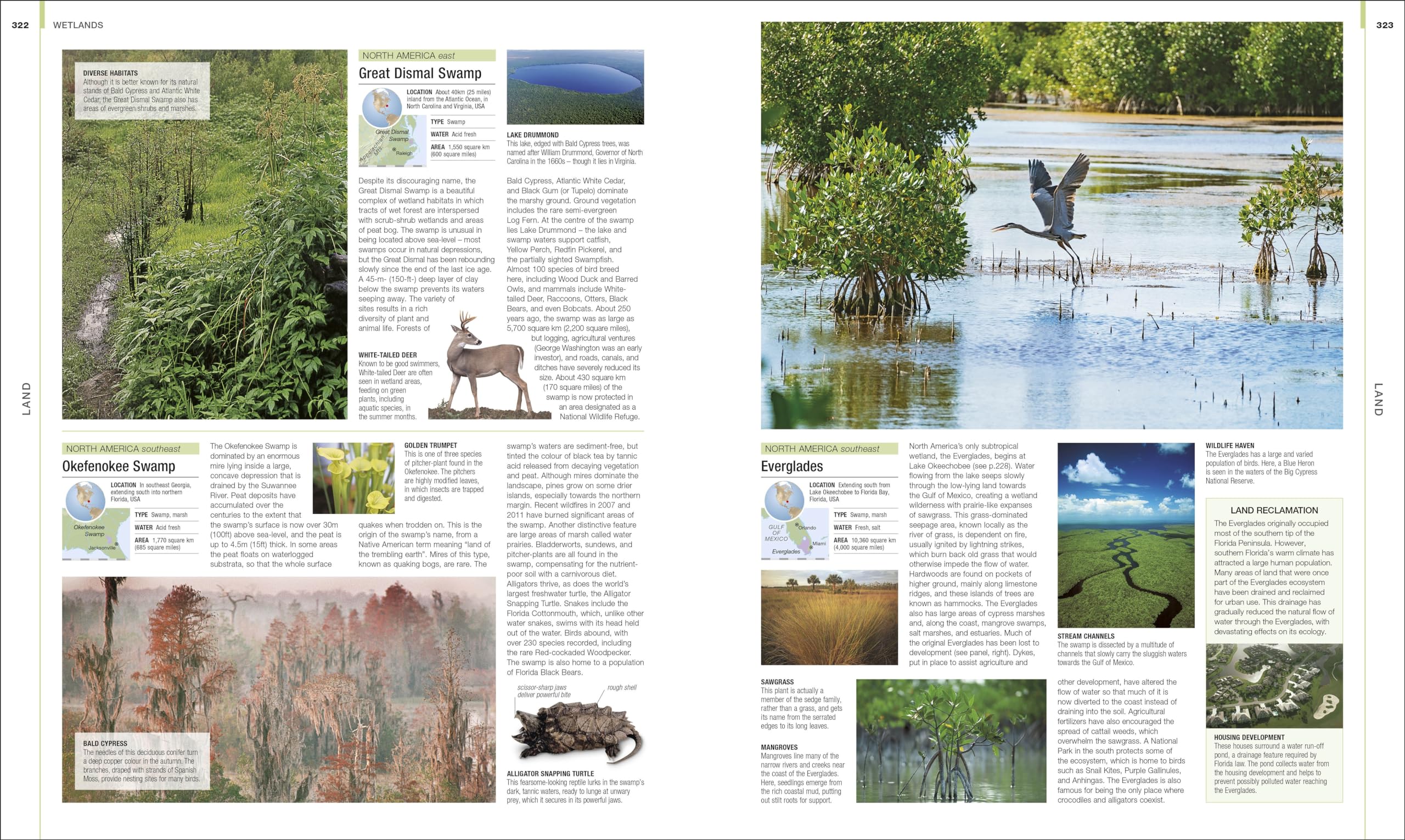 Earth: The Definitive Visual Guide (DK Definitive Visual Encyclopedias)