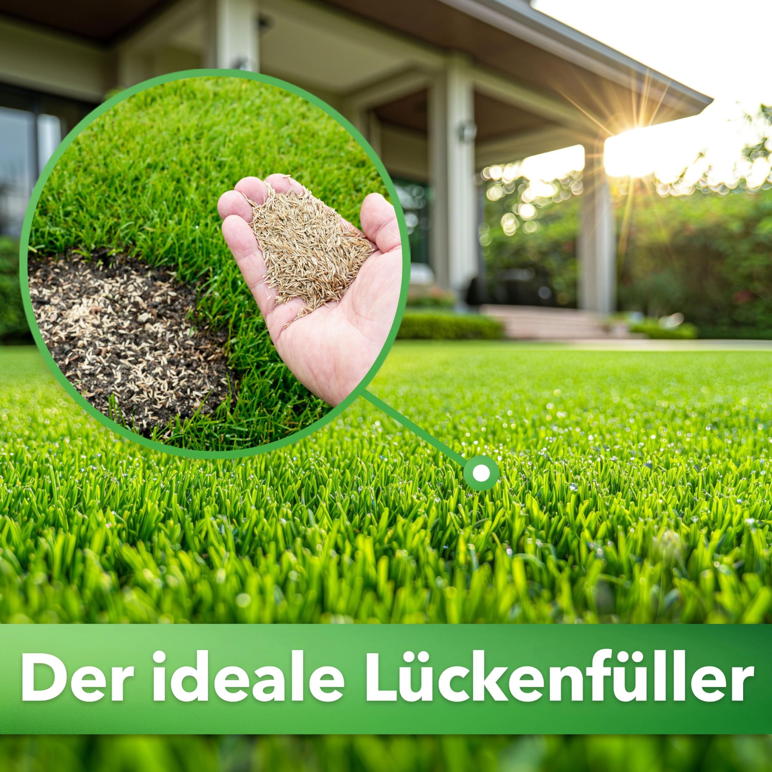 Hesa RSM 3.2 - Semences de gazon à germination rapide de qualité professionnelle - 10 kg pour 350 m²
