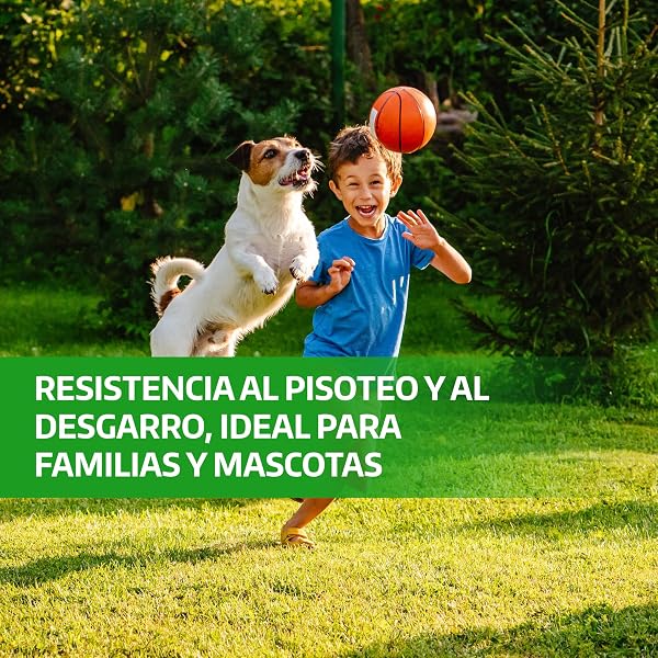 LERAVA Semillas césped grama gruesa (200 g) - Para 20 m² - Césped pisable y resistente a la sequía - Ideal para zonas mediterráneas y cálidas - Consume hasta un 20% menos de agua - 3