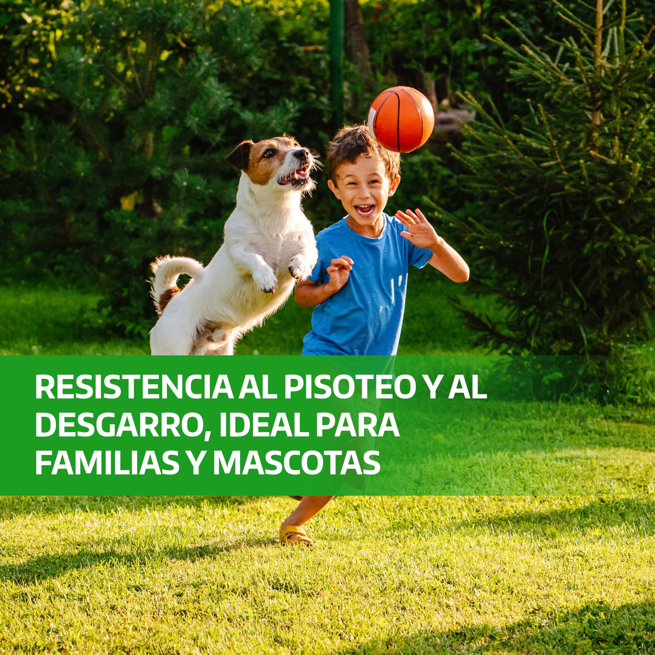 LERAVA Semillas césped grama gruesa (200 g) - Para 20 m² - Césped pisable y resistente a la sequía - Ideal para zonas mediterráneas y cálidas - Consume hasta un 20% menos de agua — view 3