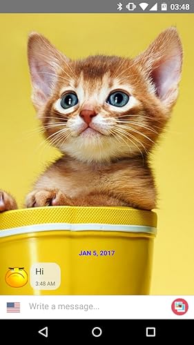 Sumi Chat - Cutest Talking Chatbot