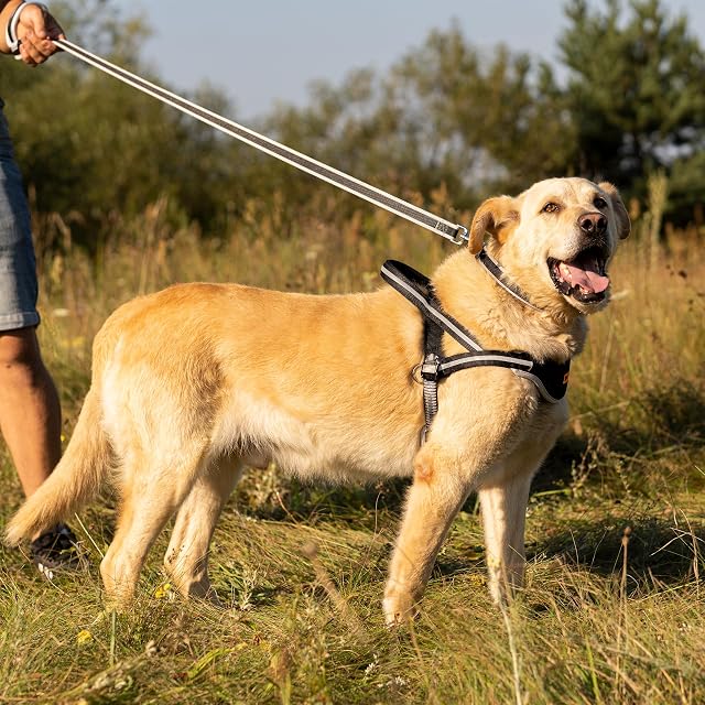 Foto 2 de 6 de Ferplast Guinzaglio per cani in nylon ERGOCOMFORT G15/120, Impugnatura Ergonomica, Soffice imbottitura