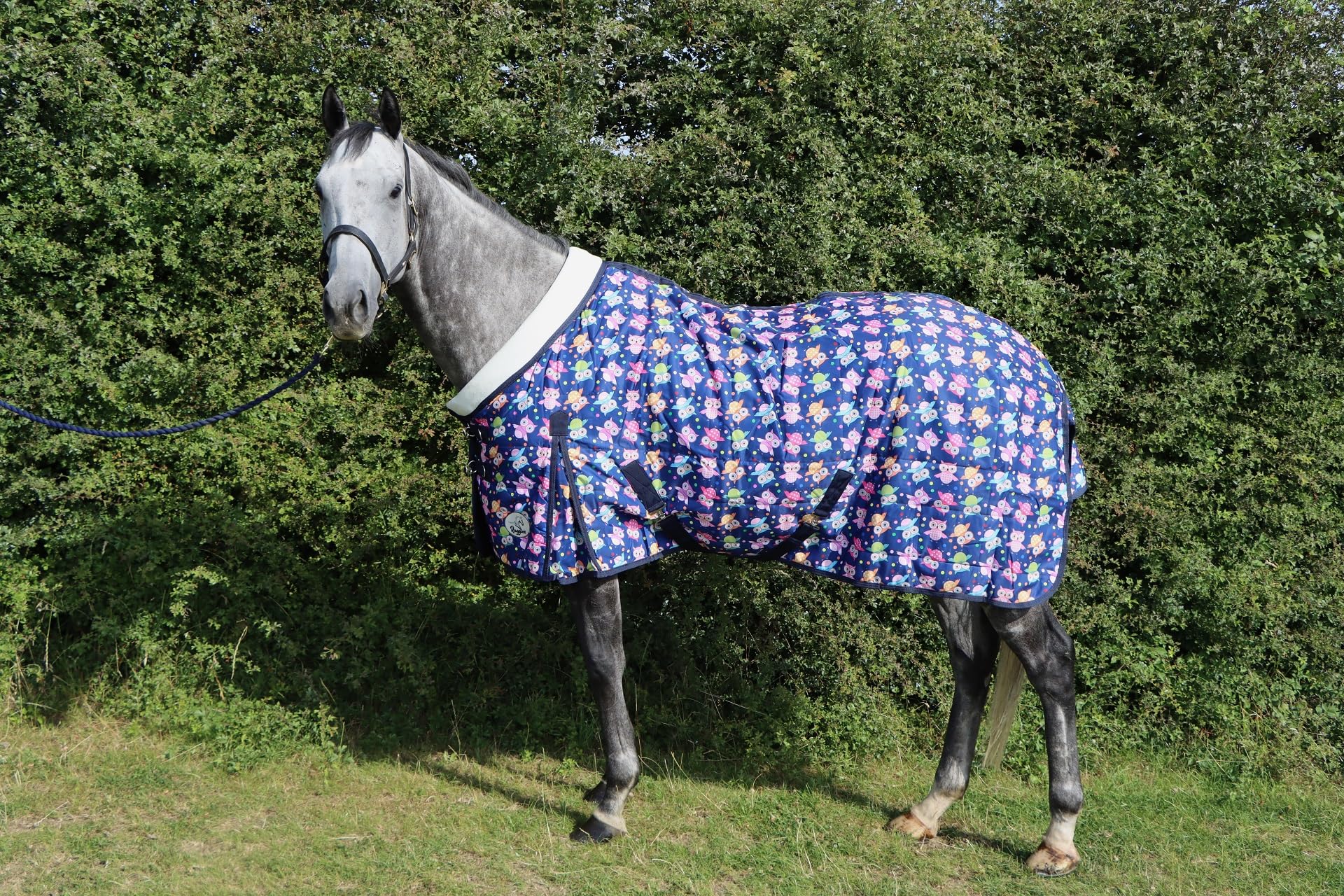 Ruggles 100g Lightweight Stable Rug for Horse/Pony | Smart Versatile Rug Perfect for Warmer Days or as an Under Layer in Colder Weather (Owl Print, 6' 3")