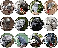 Vista 12 de 12 unidades de imanes de vidrio para nevera, adhesivo para nevera, decoración de imanes para nevera, imanes fuertes para nevera para cocina, Figuras