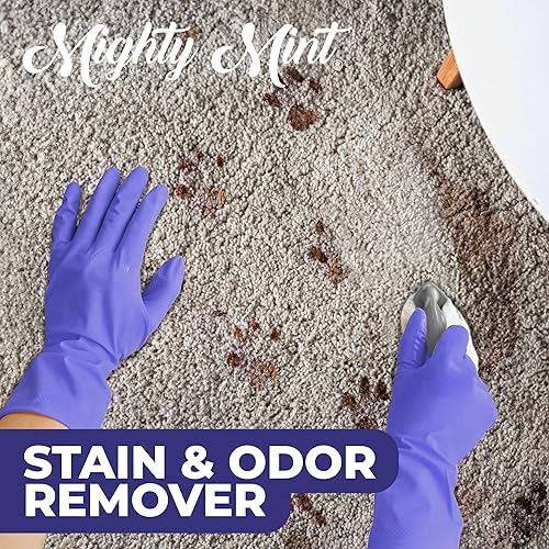 Miniatura 4 de Mighty Mint Removedor de manchas y olores, el aerosol enzimático natural neutraliza de forma segura el olor y las manchas de perros, gatos en