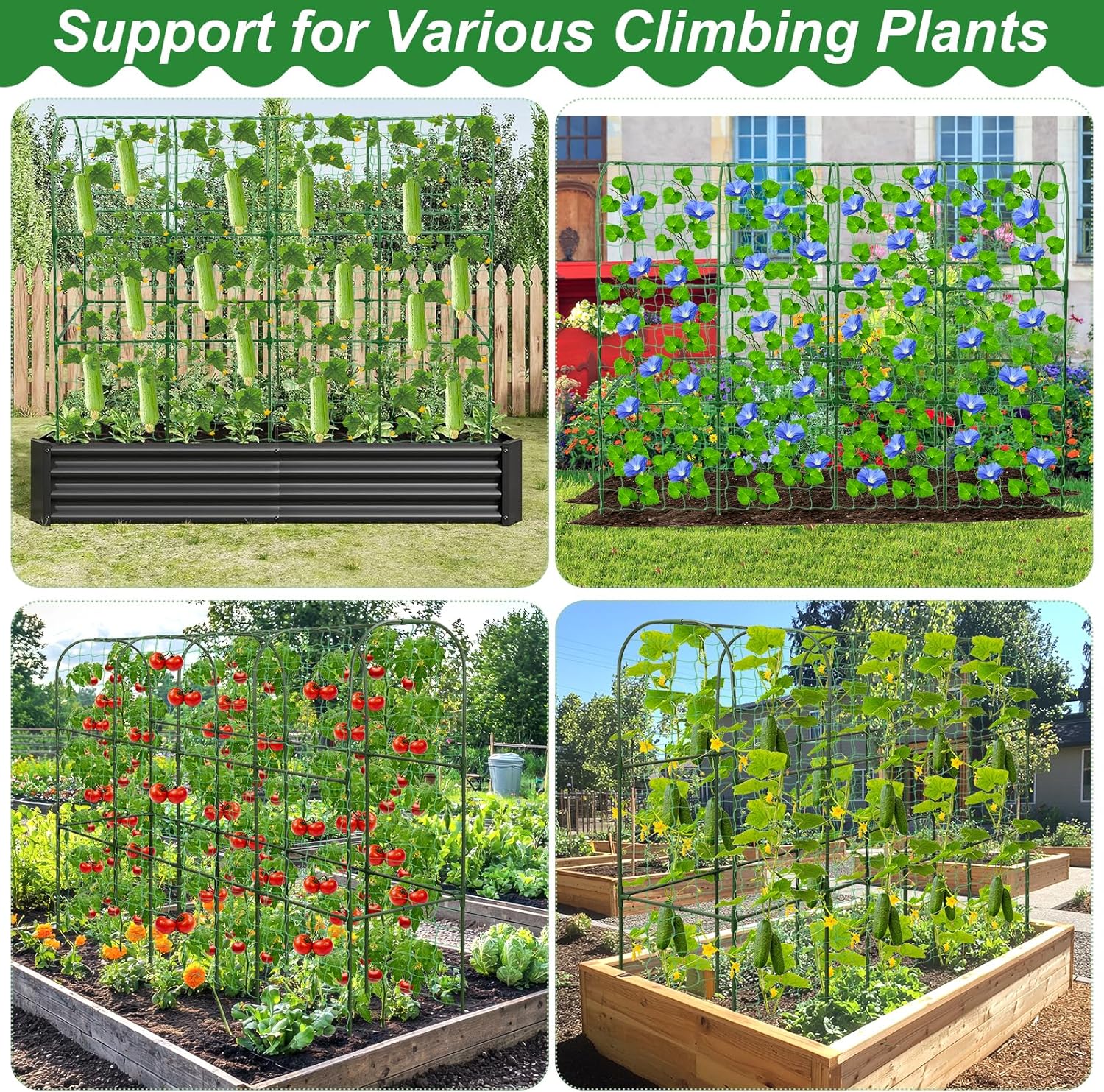 67 x 50 Cucumber Trellis for Raised Bed, U-Shape Metal Large Garden Trellis for Climbing Plants Outdoors with Netting, Garden Tools, Cucumber Arch Trellis for Vegetable Fruit Flower Plant Support